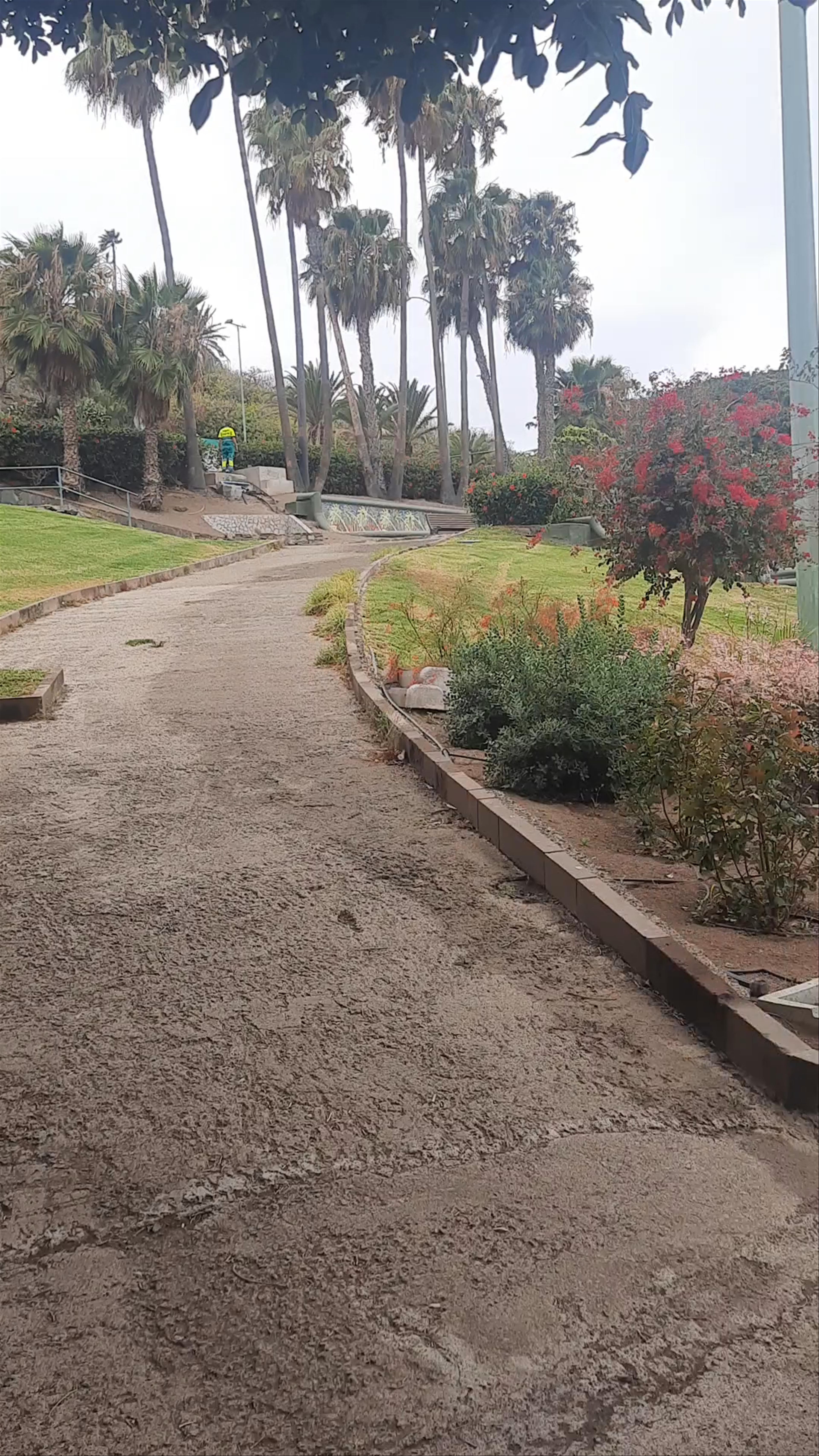 Parque Doramas