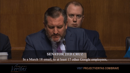 Video Thumbnail Loop