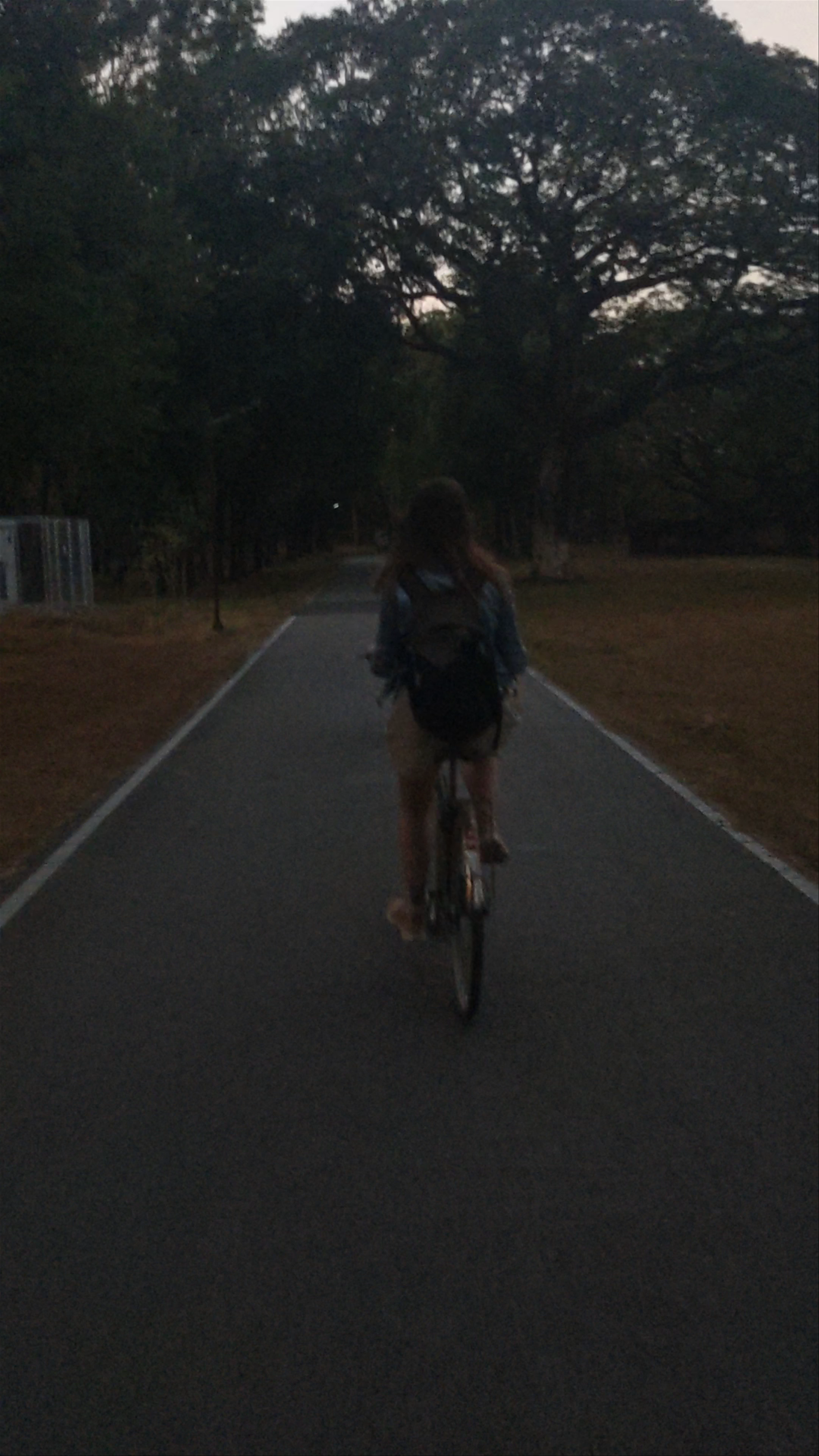 Parc historique de Sukhotai