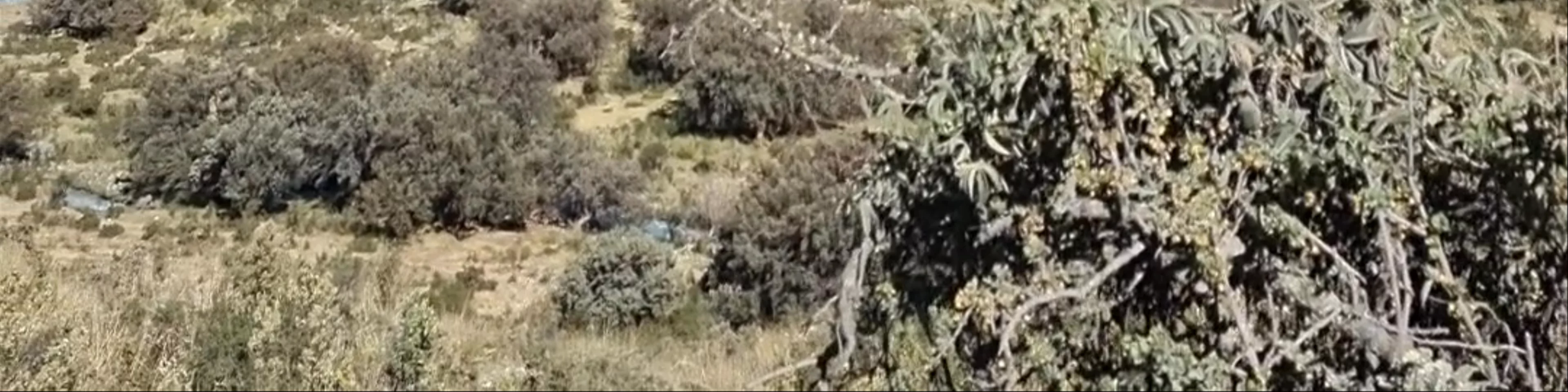 Llanganuco Orconcocha