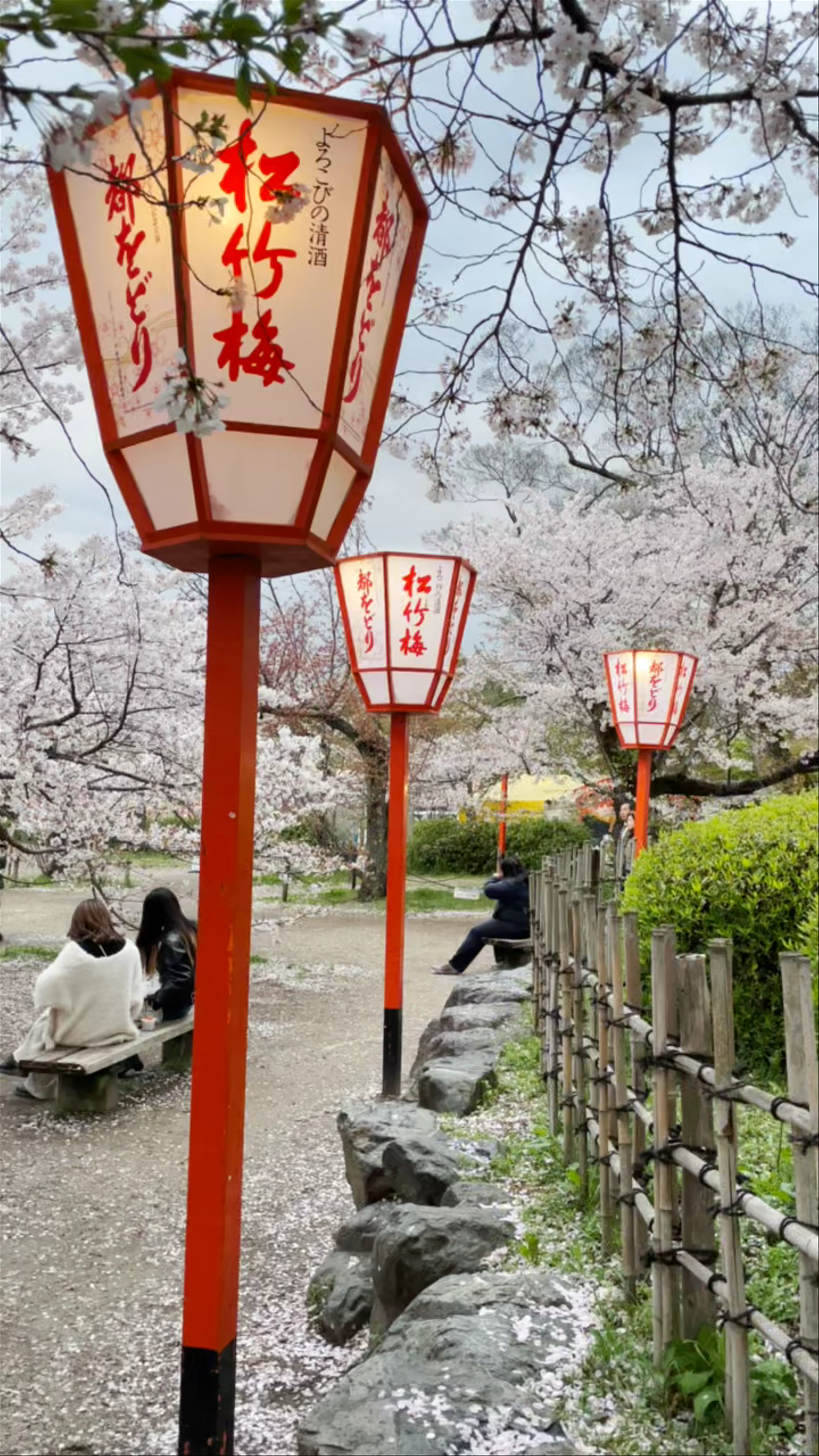 Maruyama Park, Maruyamachō, Higashiyama Ward, Kyoto, Japan