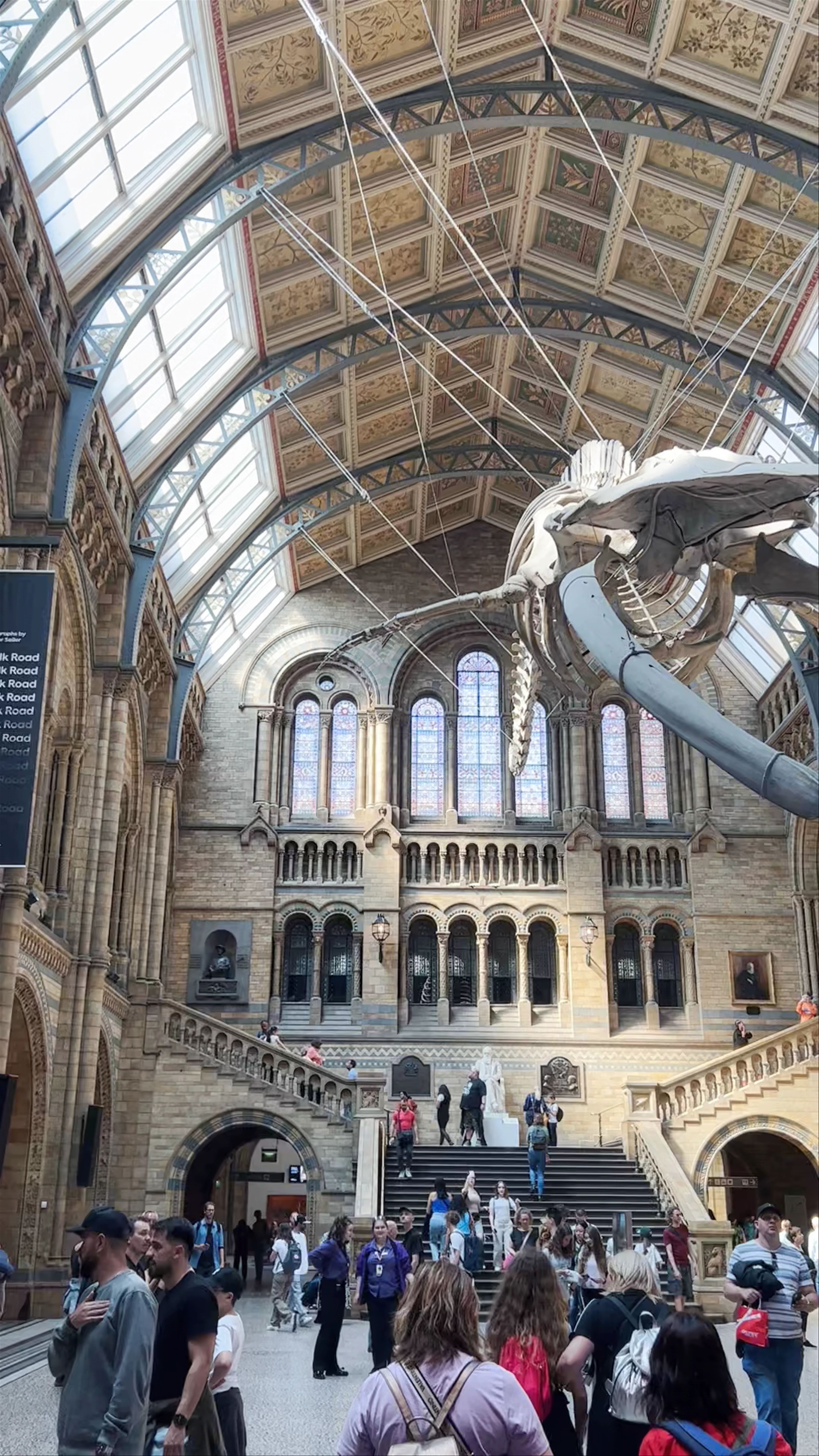 Natural History Museum, Cromwell Road