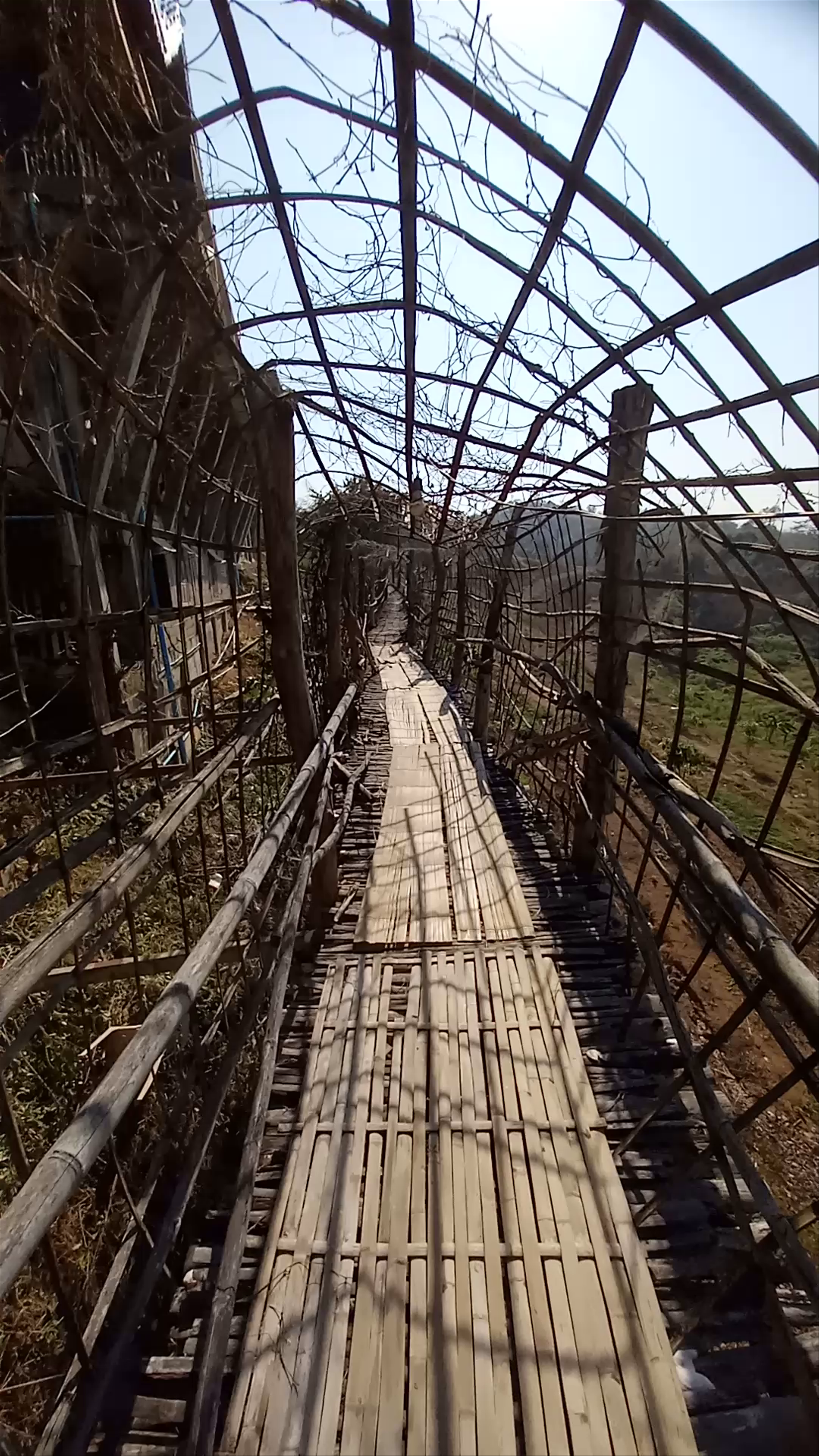 Bamboo Bridge in Mae Hong Son