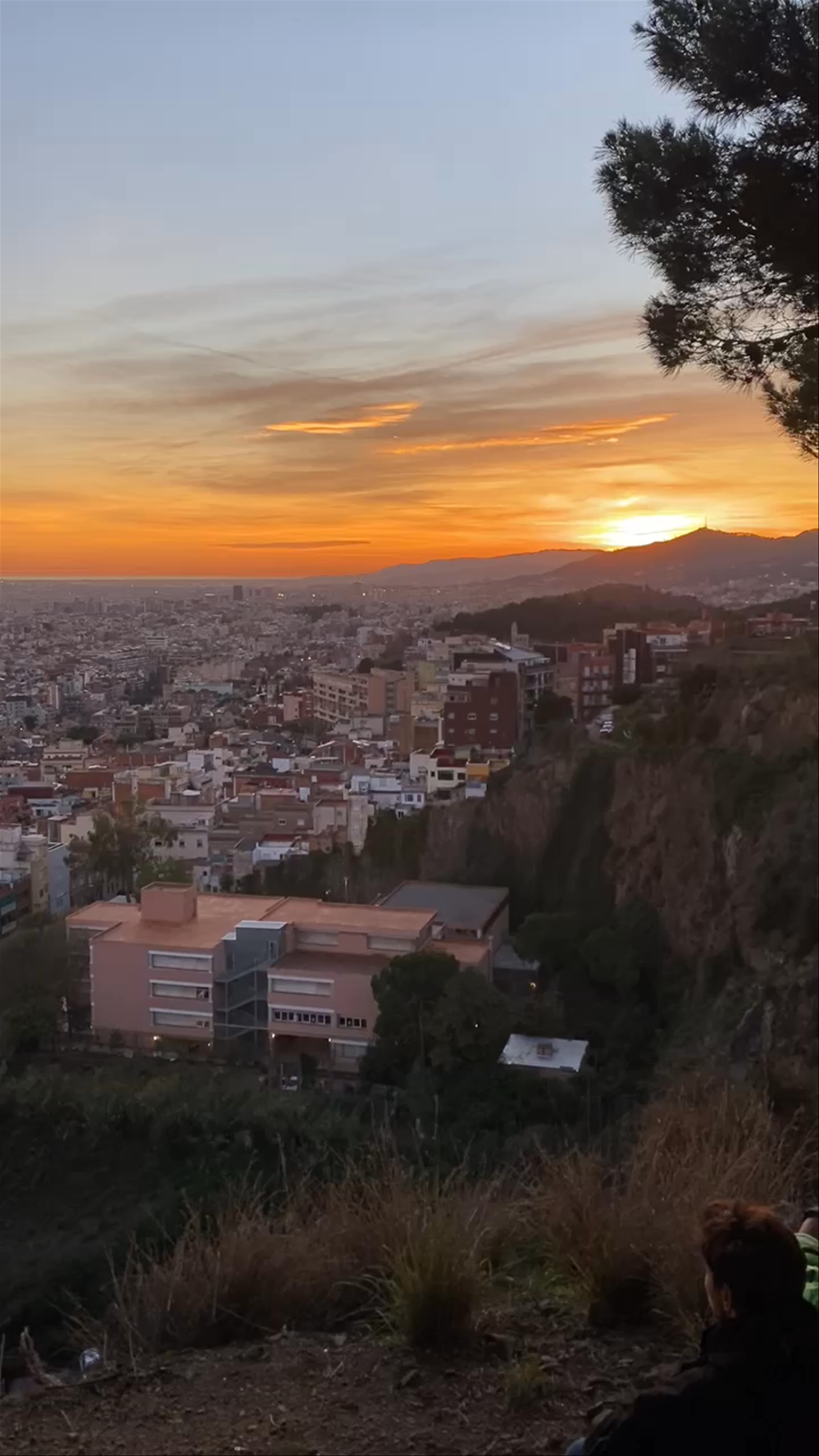 MUHBA Turó de la Rovira (Mirador de les bateries)