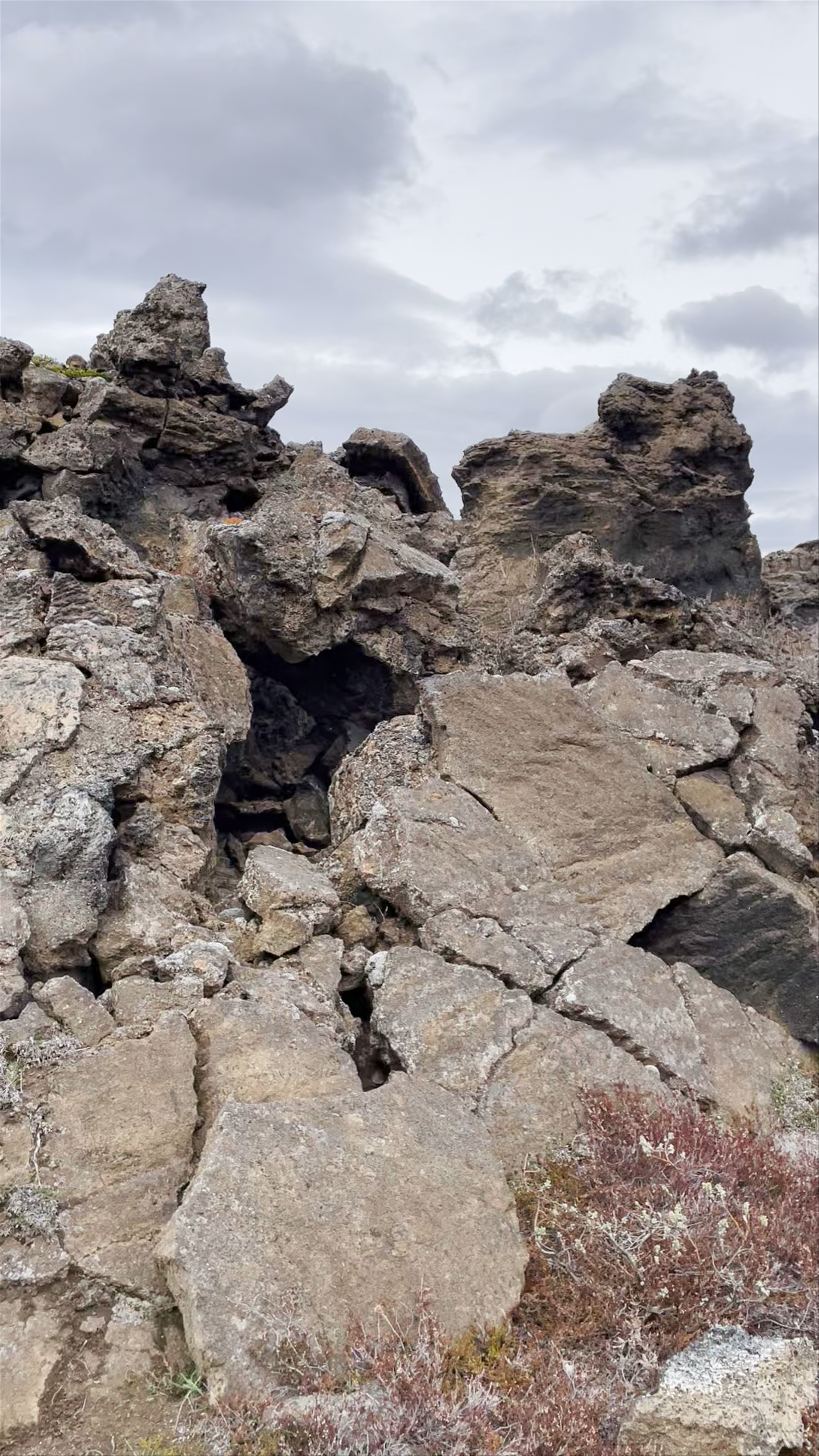 Lava field Dimmuborgir