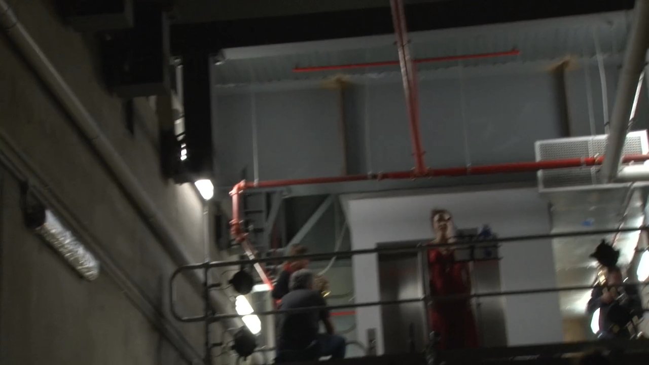 Thumbnail for The Donkey’s Tail (2014)