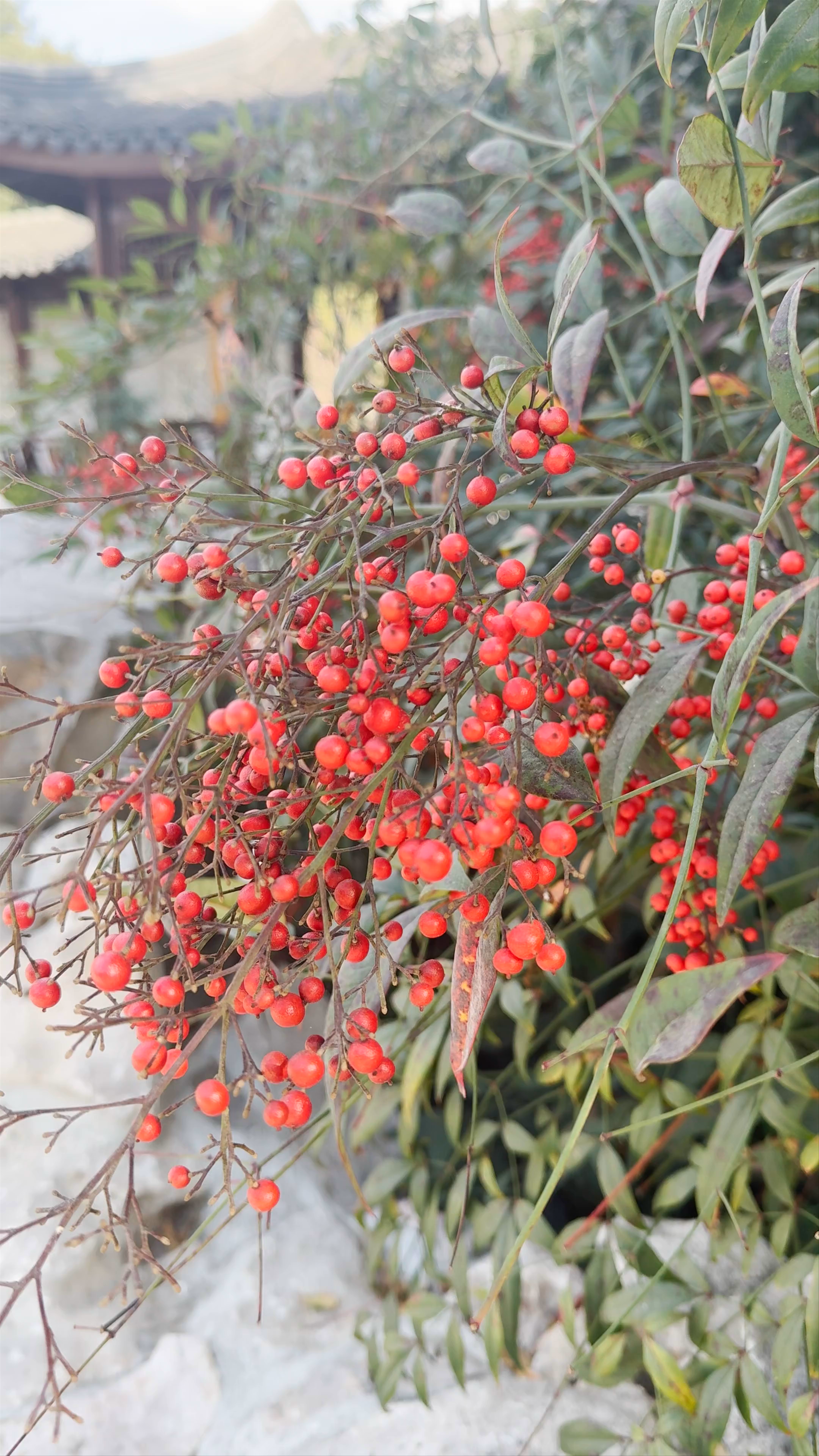 Huntington Library