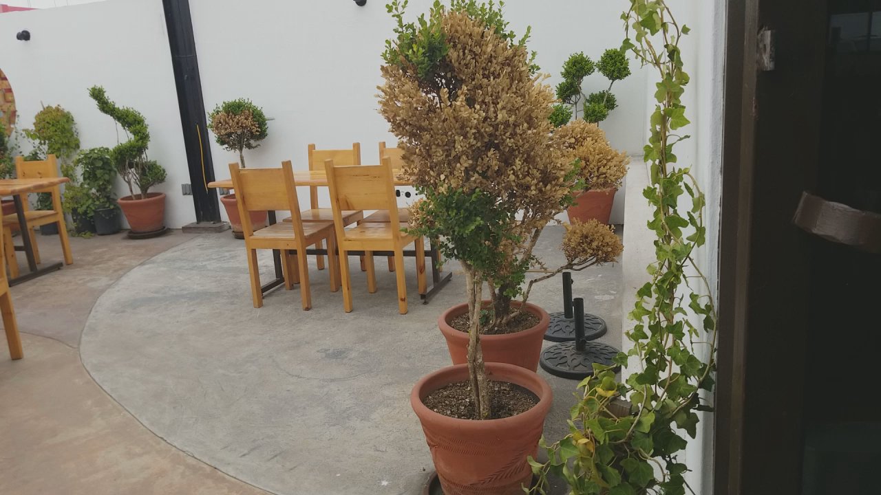 CC's Restaurant - Beautiful outdoor patio - Mexican Near Me - Rosarito, BCN