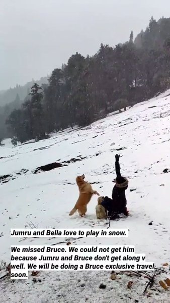 Photo of Travelogue of our tr