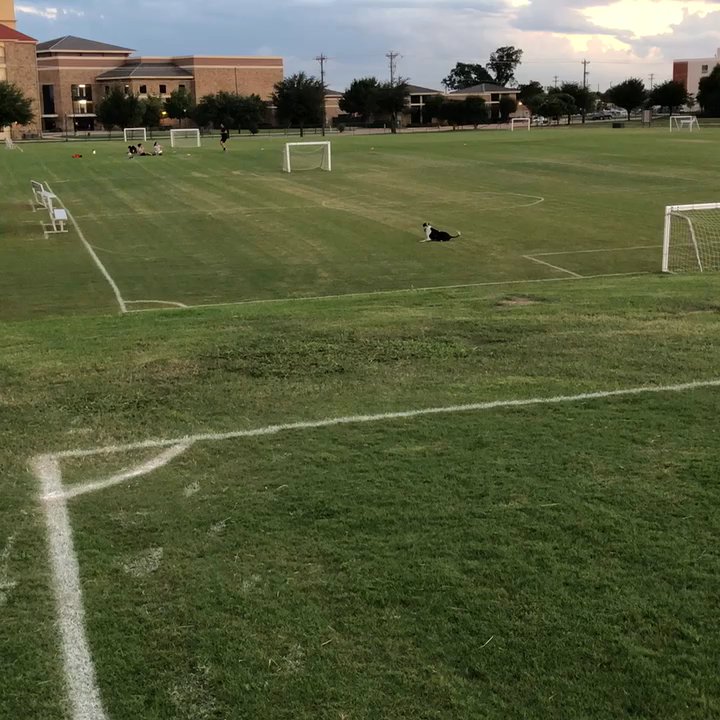 Al Ruschhaupt Soccer Complex - Evening panoramic - Parks Near Me - McKinney, Texas