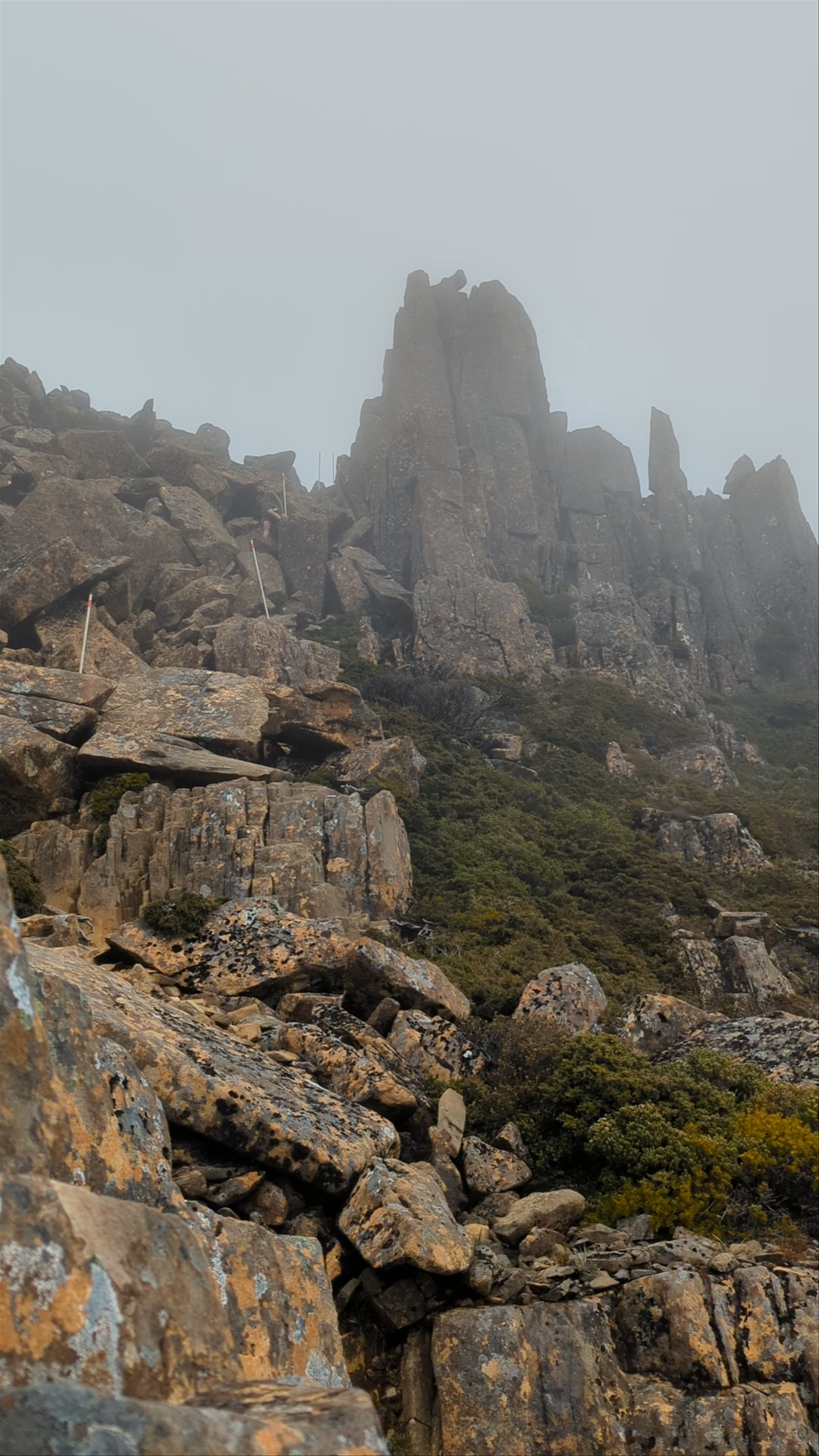 Cradle Mountain Summit