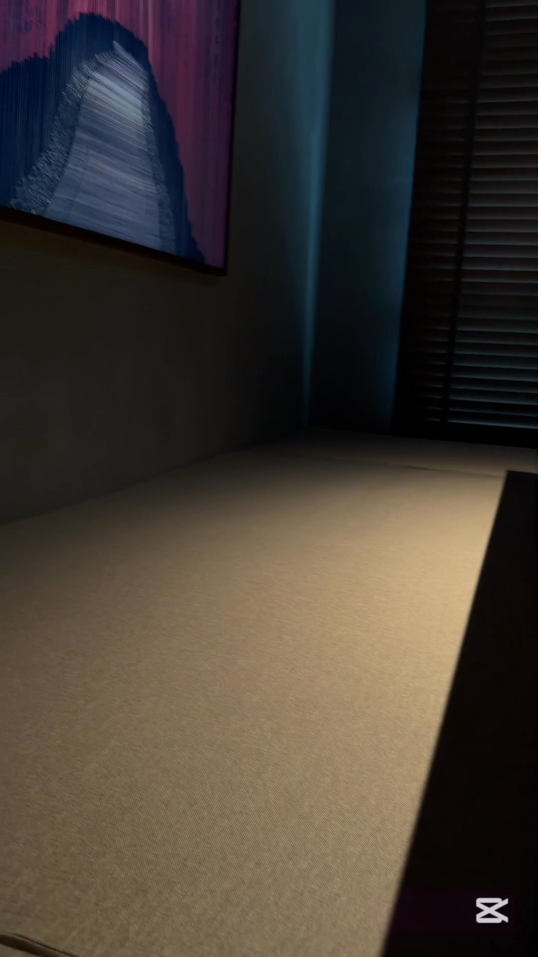 Dining-area-✨😍-and-bonsai