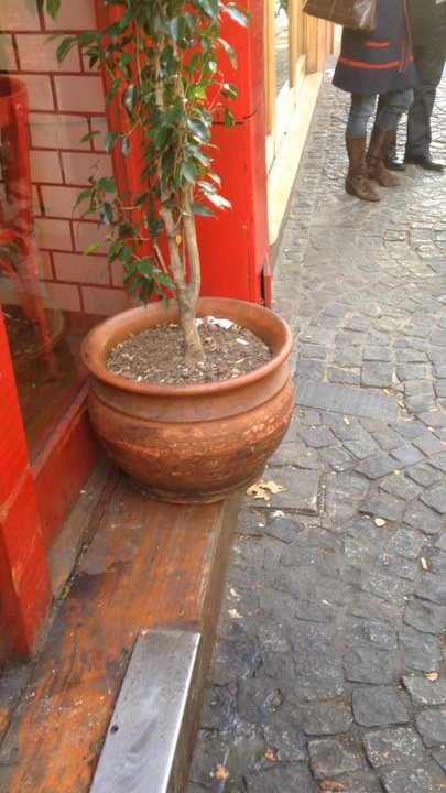 La Cholita - Argentine Near Me - Buenos Aires, C