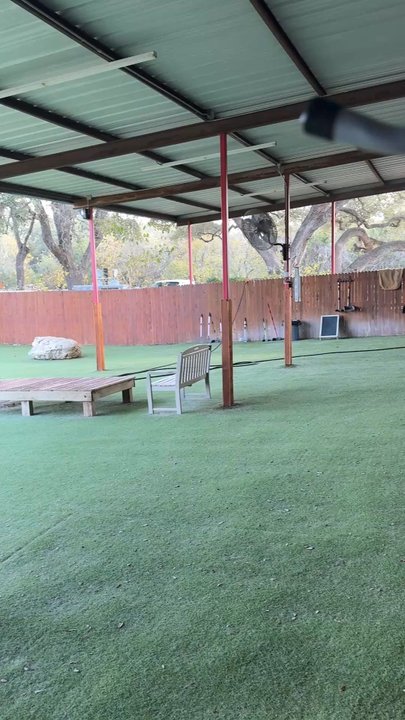 Tails Are Wagging - Pet Boarding Near Me - San Antonio, Texas