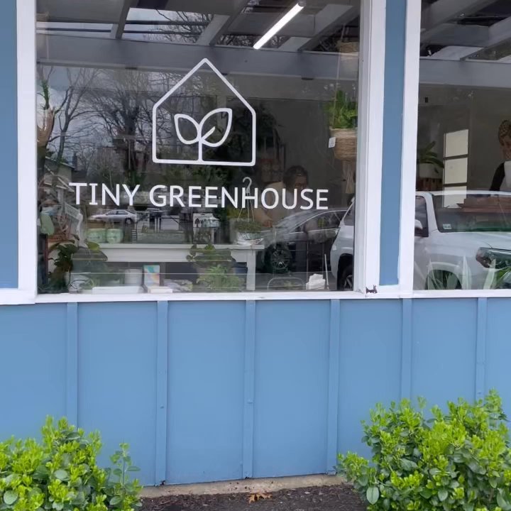 Tiny Greenhouse - Potted plants! Lol - Nurseries & Gardening Near Me - Brick, New Jersey