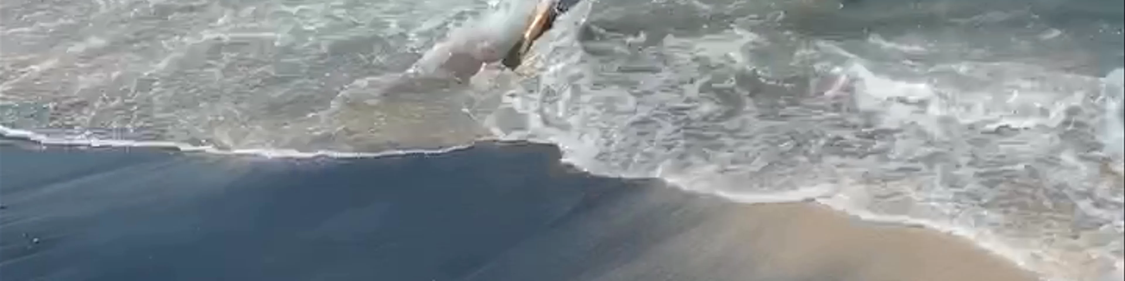 Tentacle Bali on Penida