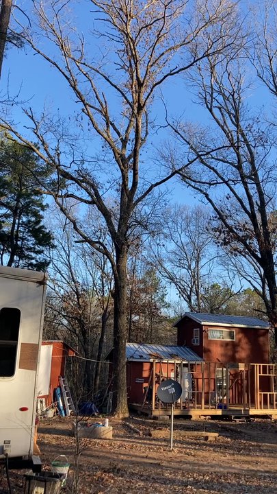 Grimes Tree And Land Services - Before - Tree Services Near Me - Lufkin, Texas
