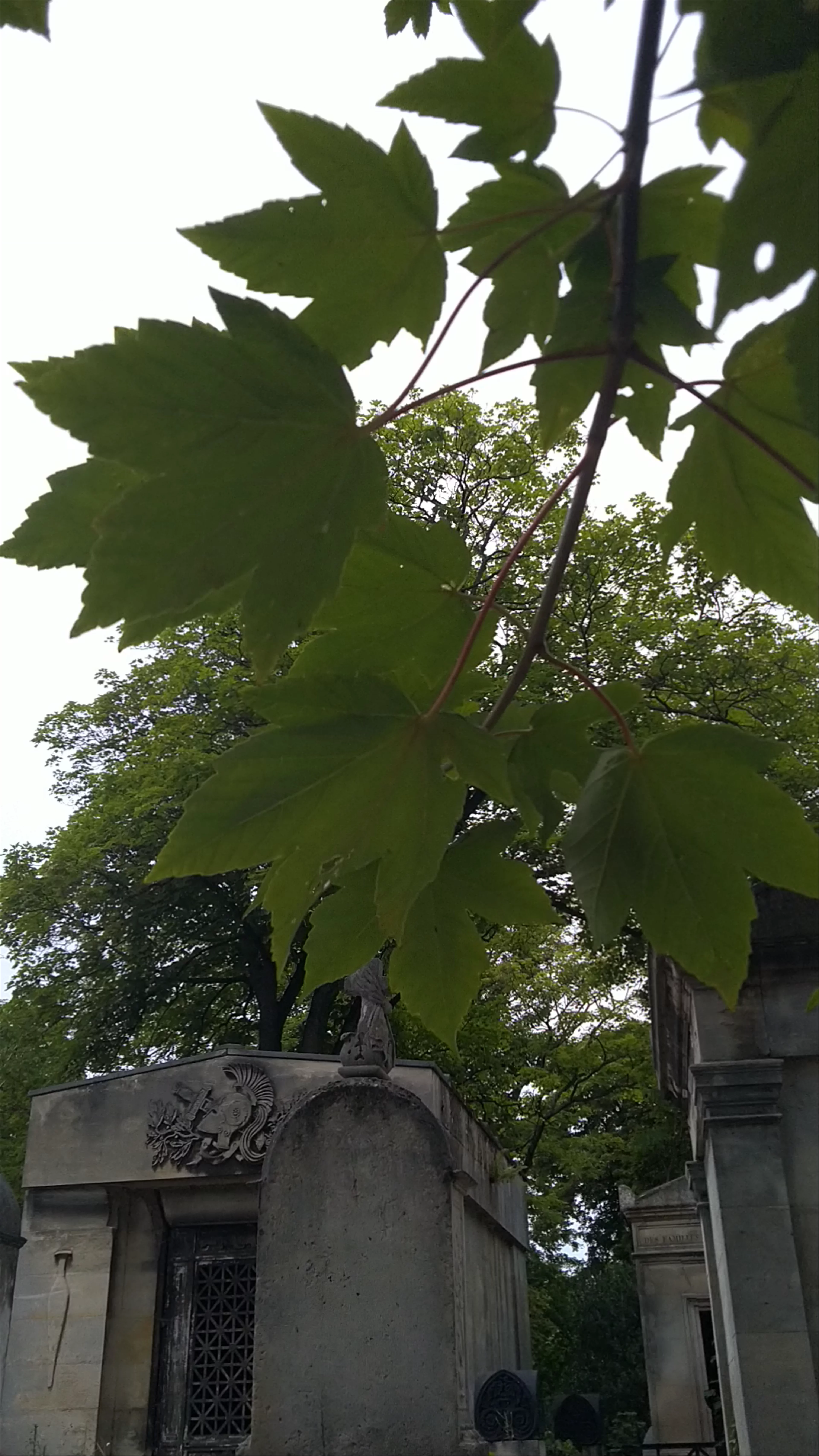 Jim Morrison’s Grave, Père Lachaise Cemetery