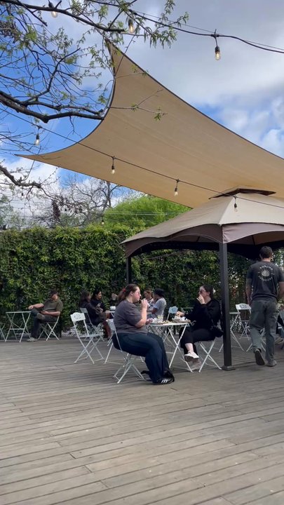 Desnudo Coffee - Coffee Roasteries Near Me - Austin, Texas
