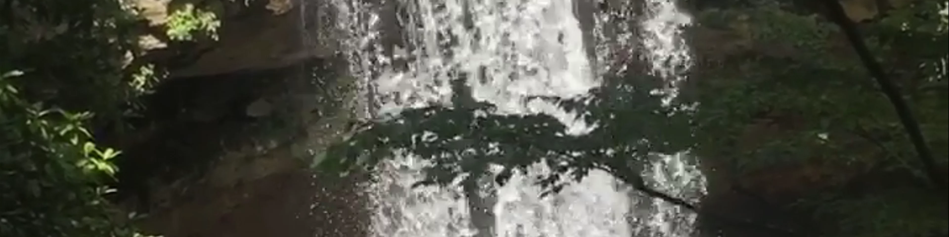 Ohiopyle State Park