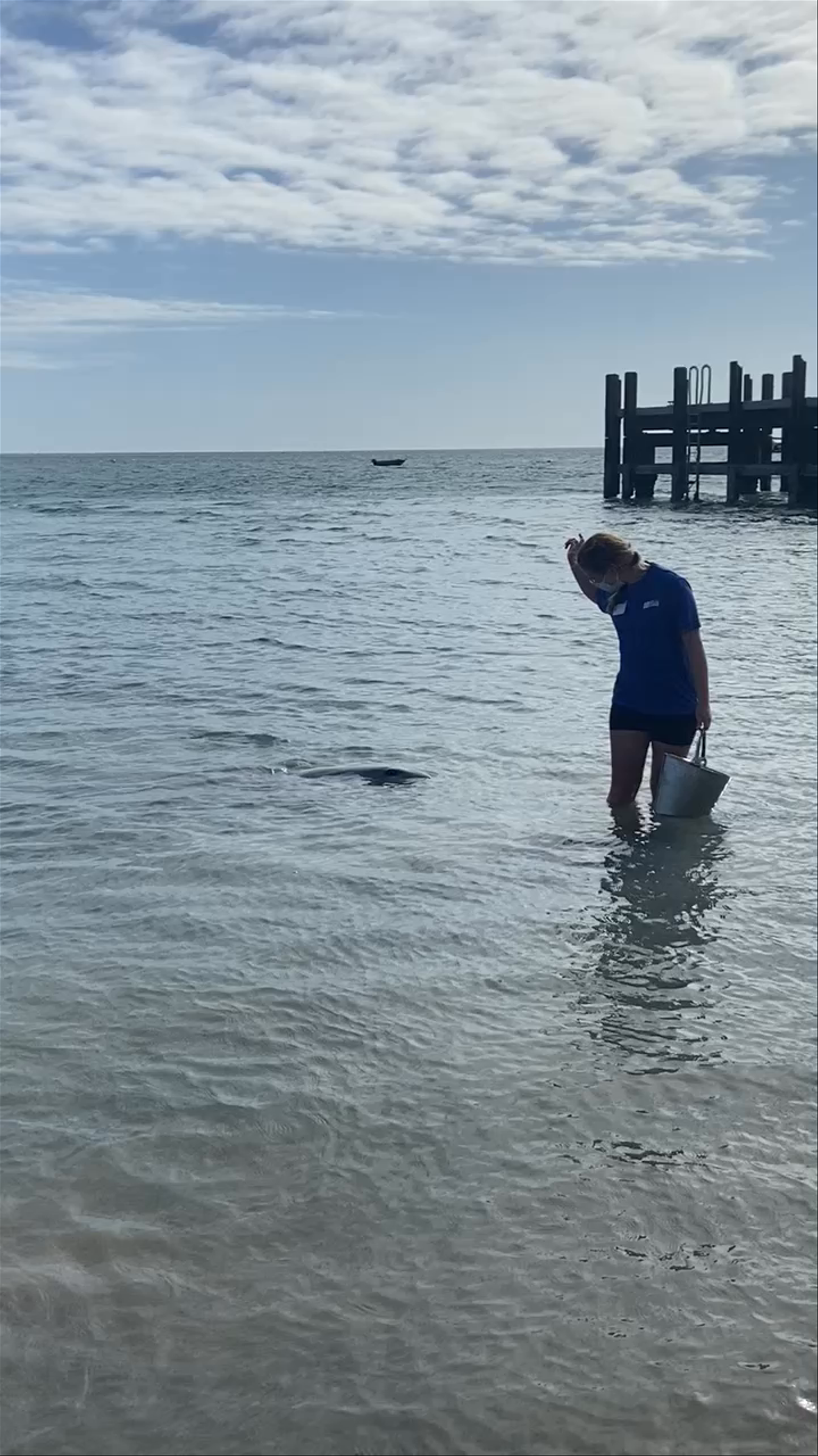 Monkey Mia Conservation Park Visitor Centre