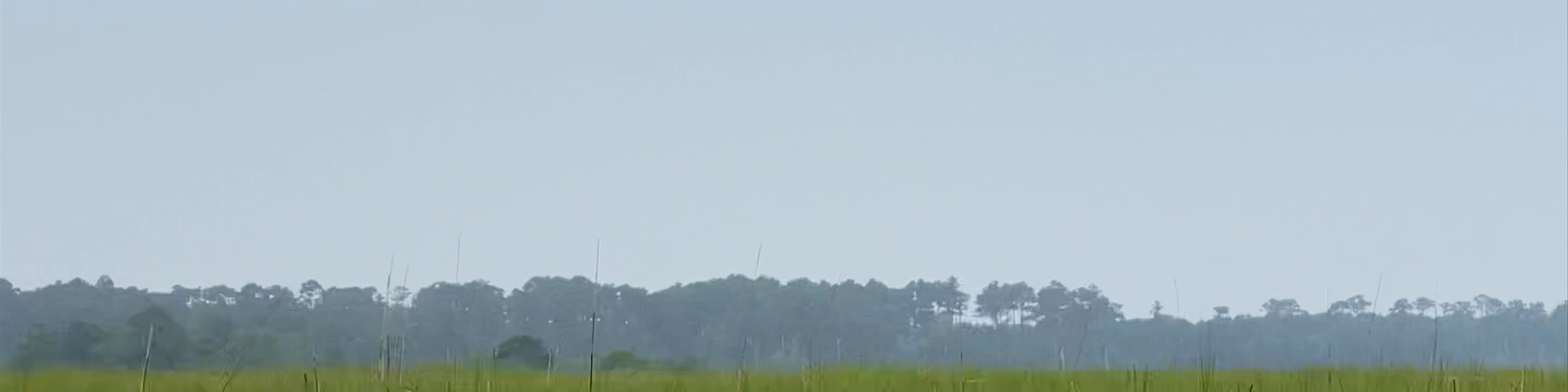 Chincoteague