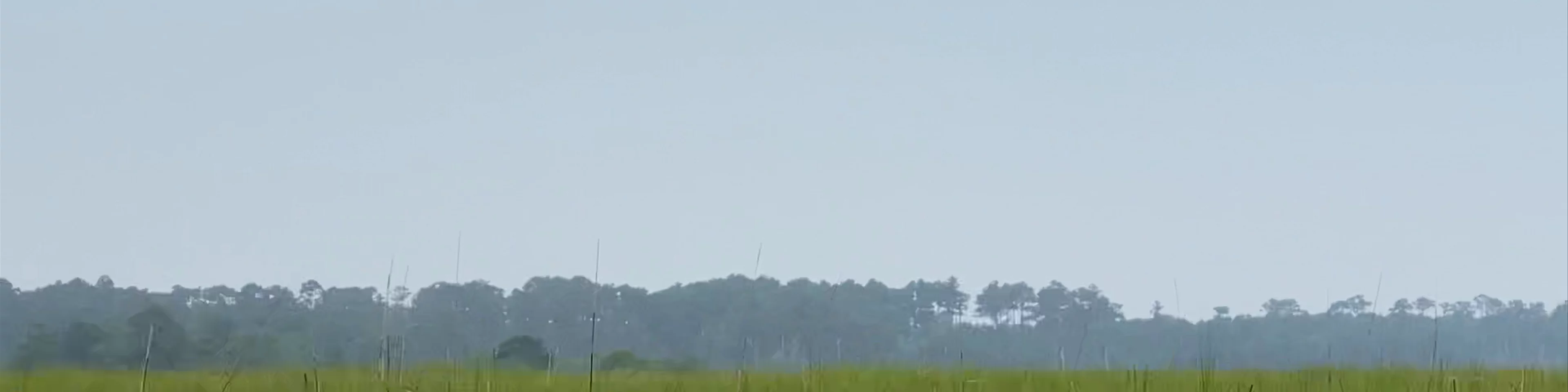 Chincoteague Island