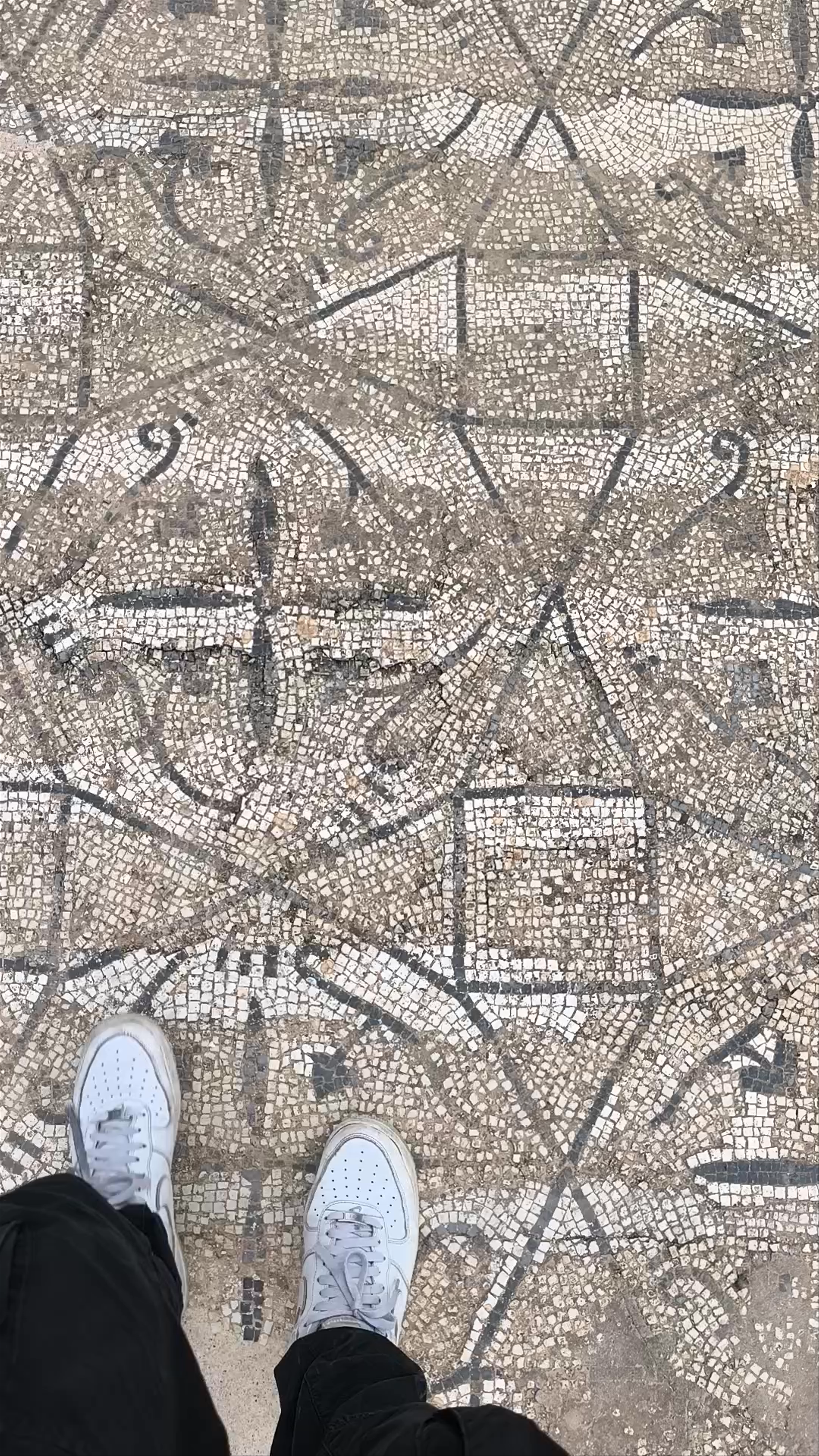 Thysdrus Archaeological Park