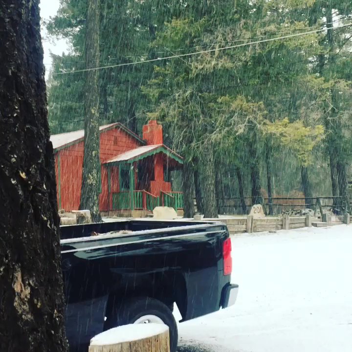 Spruce Cabins - Vacation Rentals Near Me - Cloudcroft, New Mexico