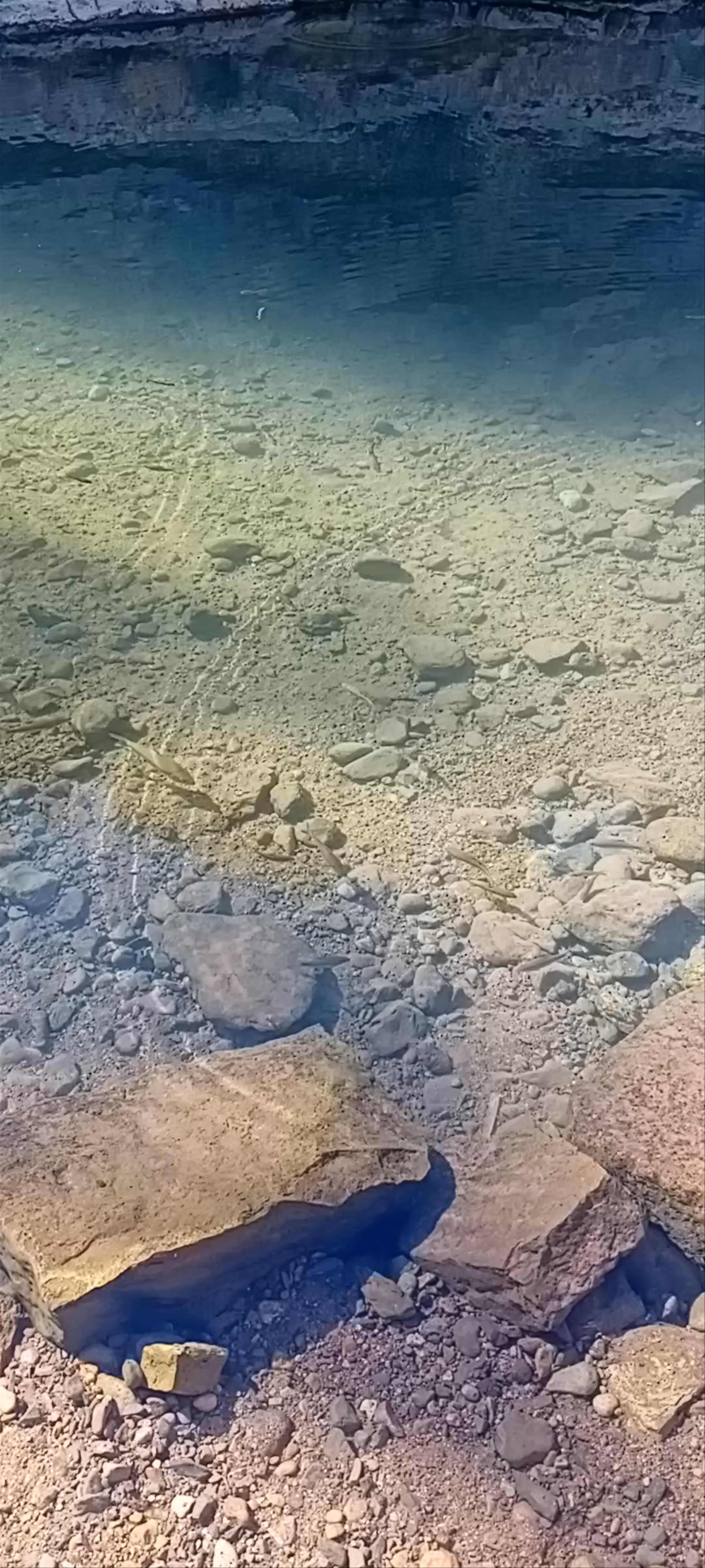 Café Restaurant Tayri