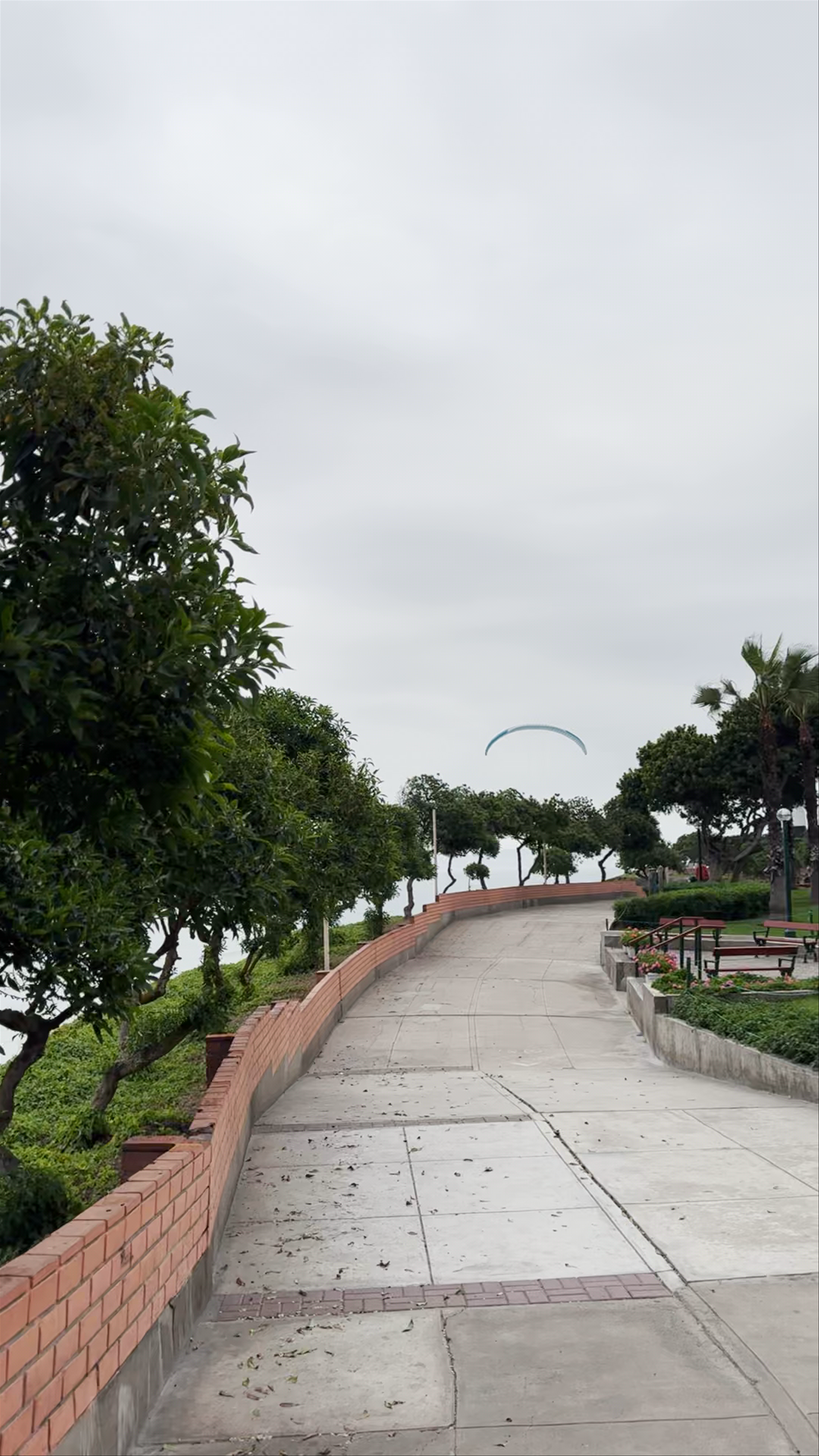 Parque Antonio Raimondi