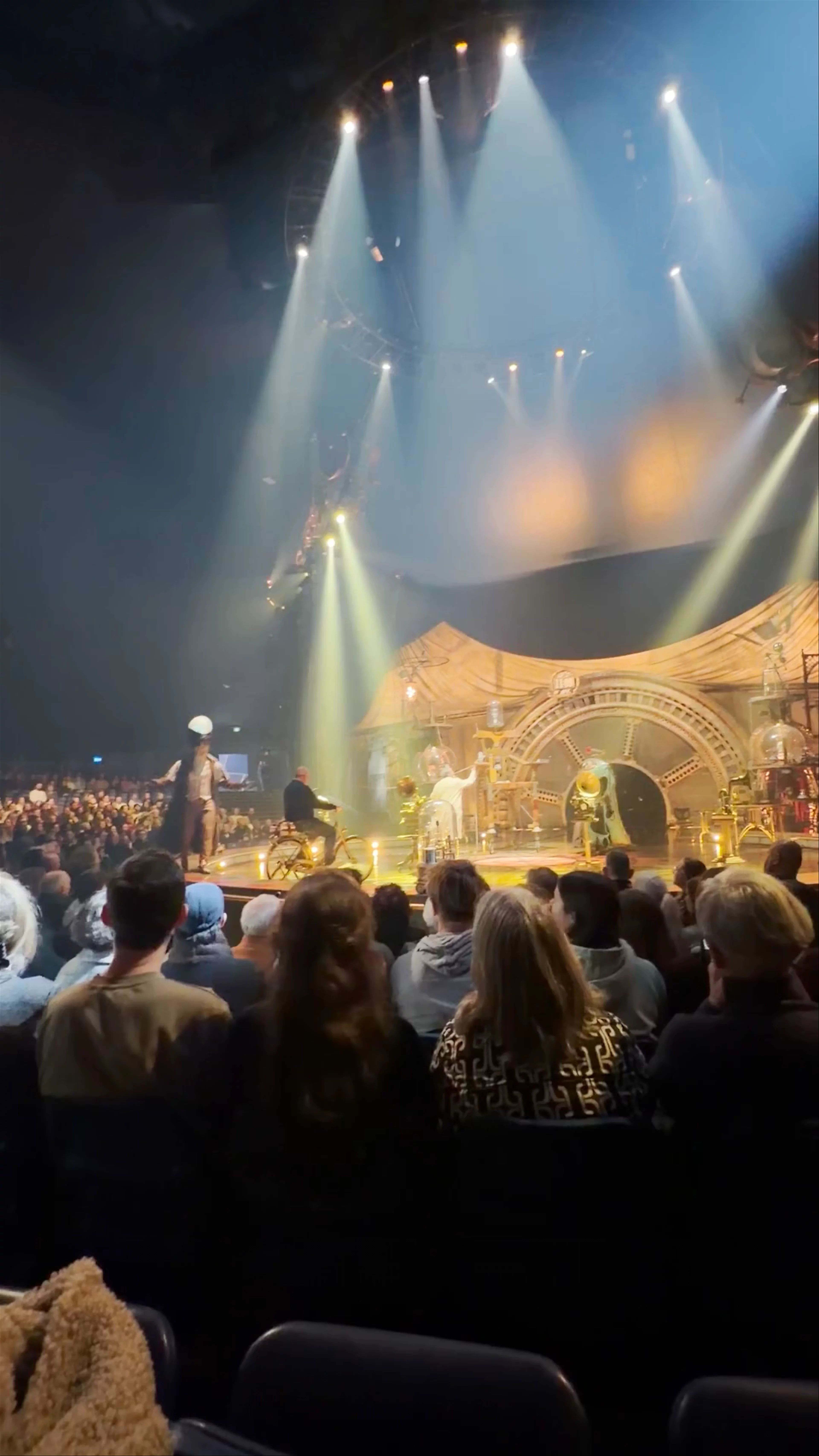 Cirque du Soleil, Koningskade