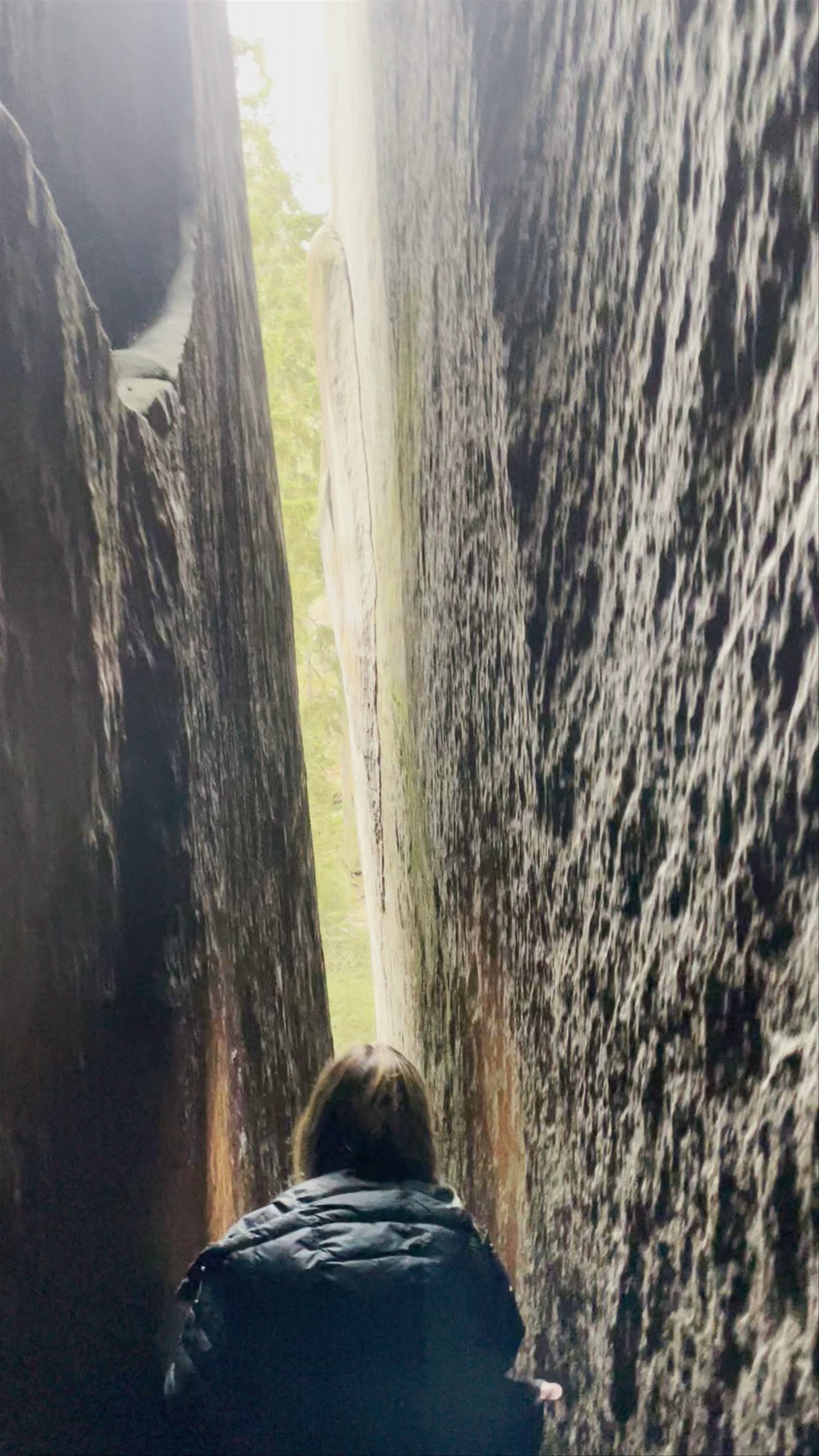 Adršpach-Teplice Rocks