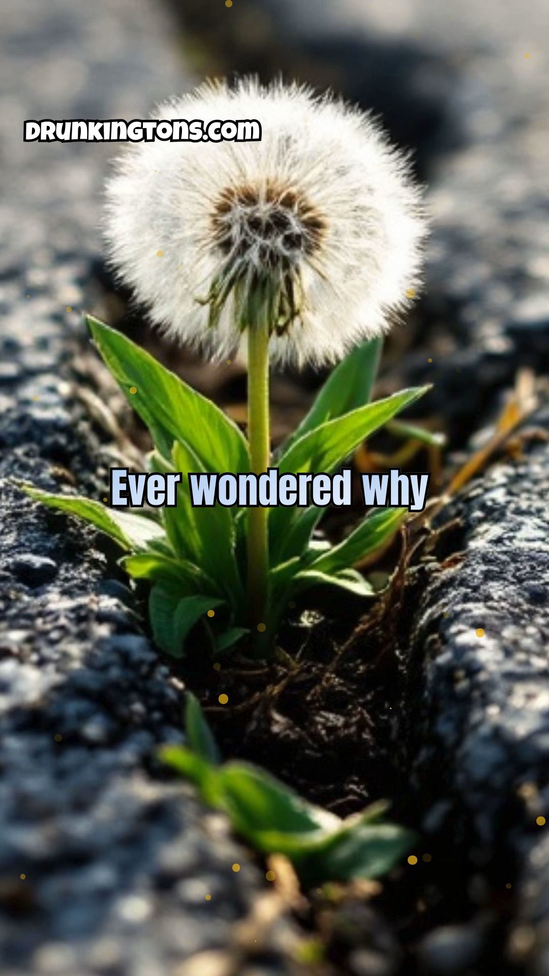 The Hidden Virtues of Weeds: The Unsung Heroes of the Plant World