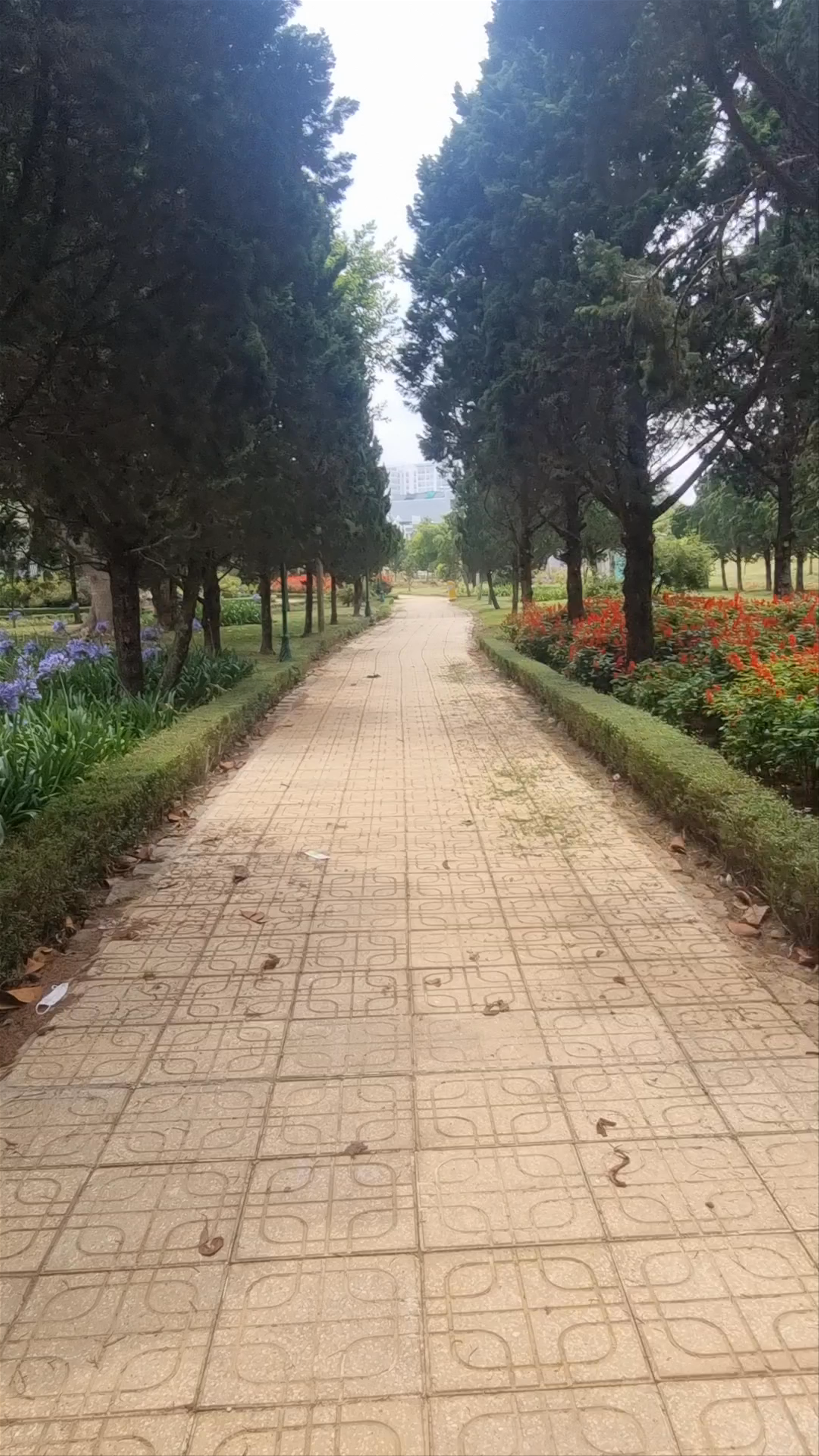 Công viên Ánh Sáng