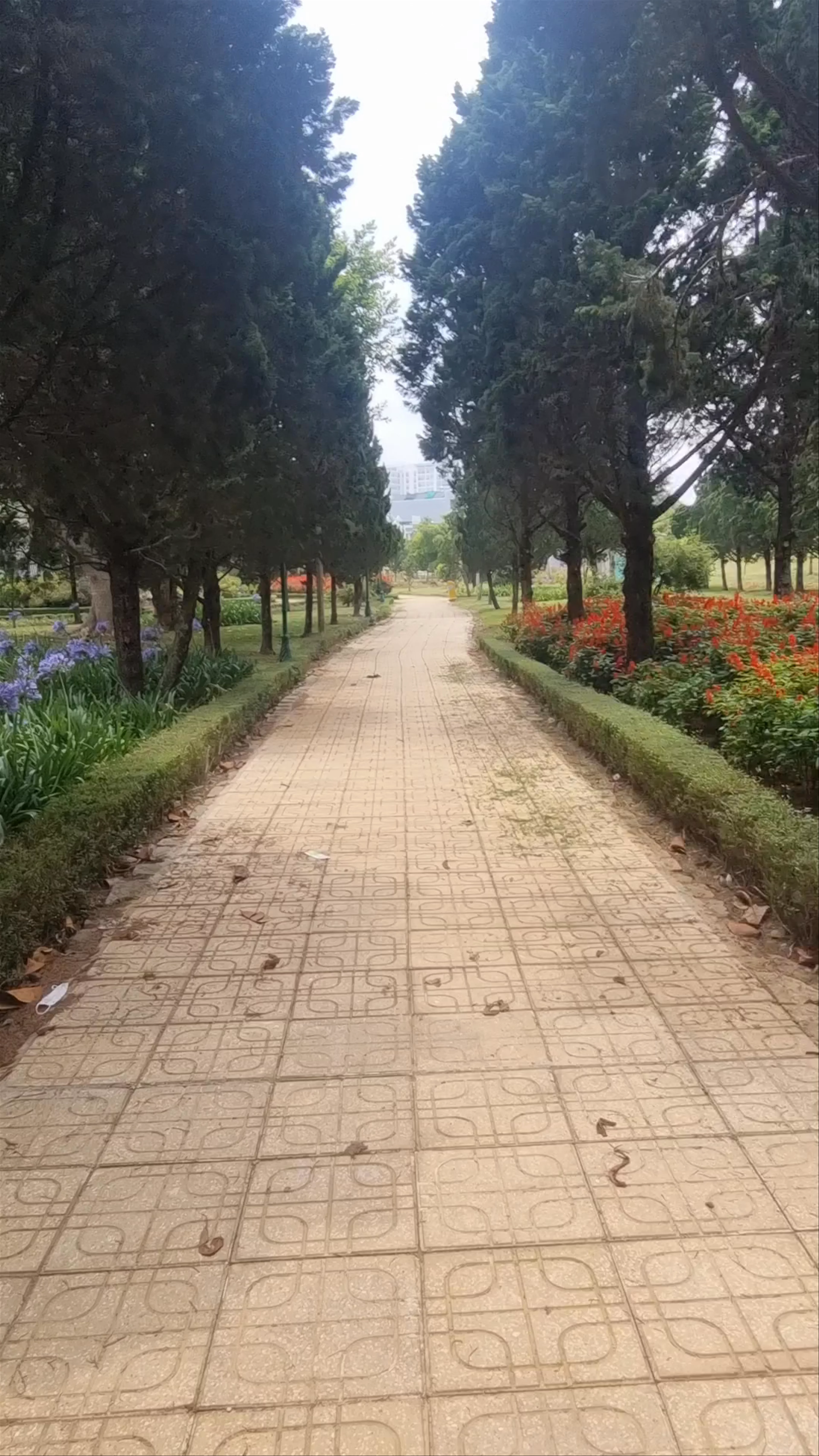 Ánh Sáng Park