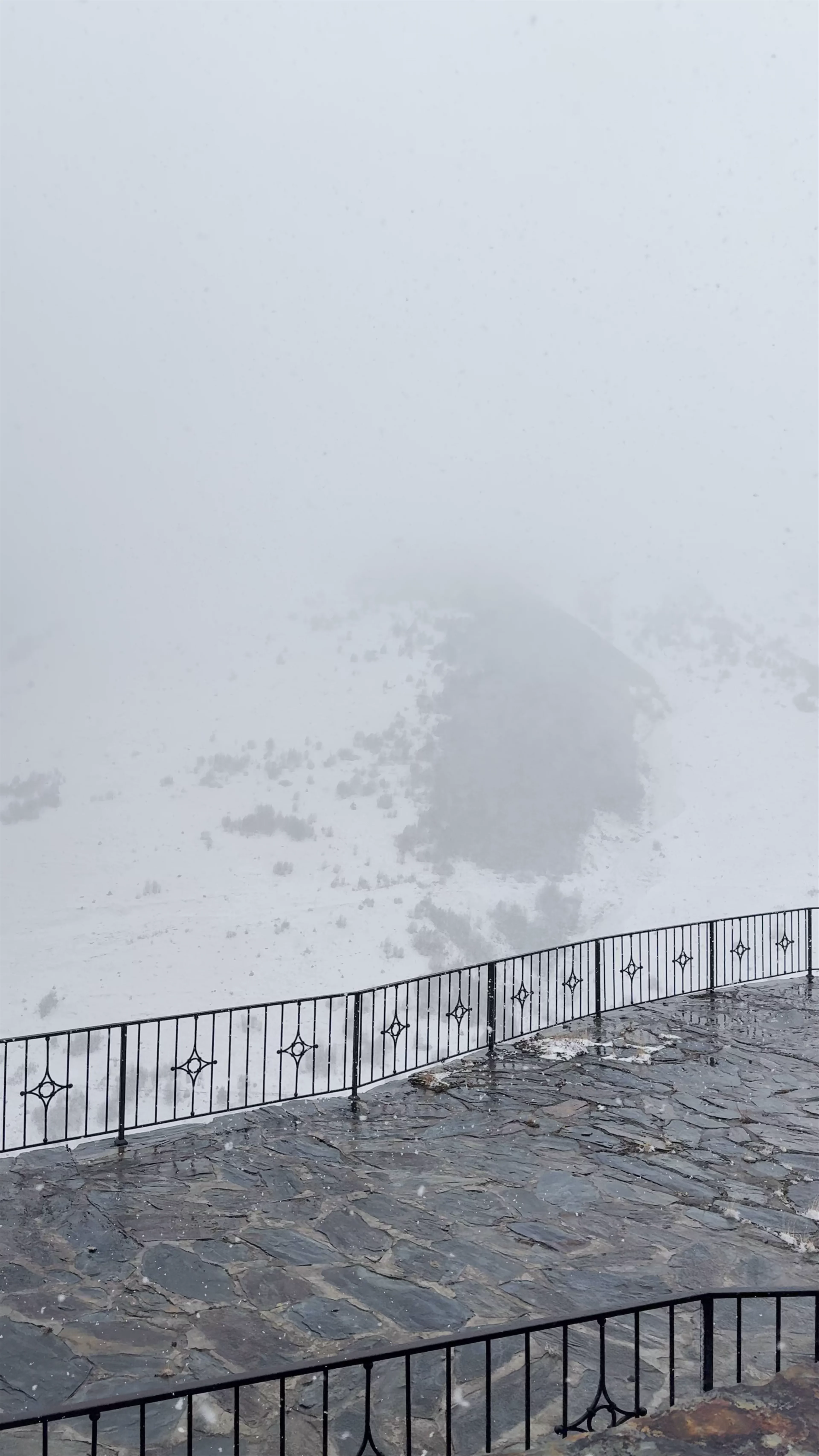 Kazbegi