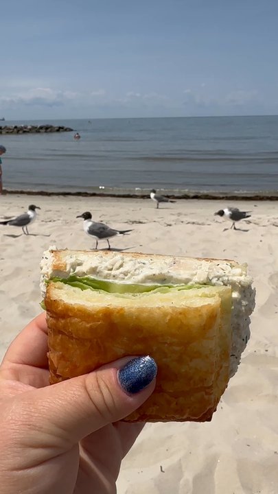 Cravings - Seagulls want in on the action - Sandwiches Near Me - Cape Charles, Virginia