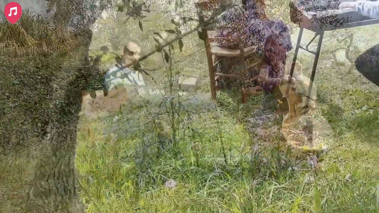 Tuscan Cello & Piano Duo - Canon in D - video