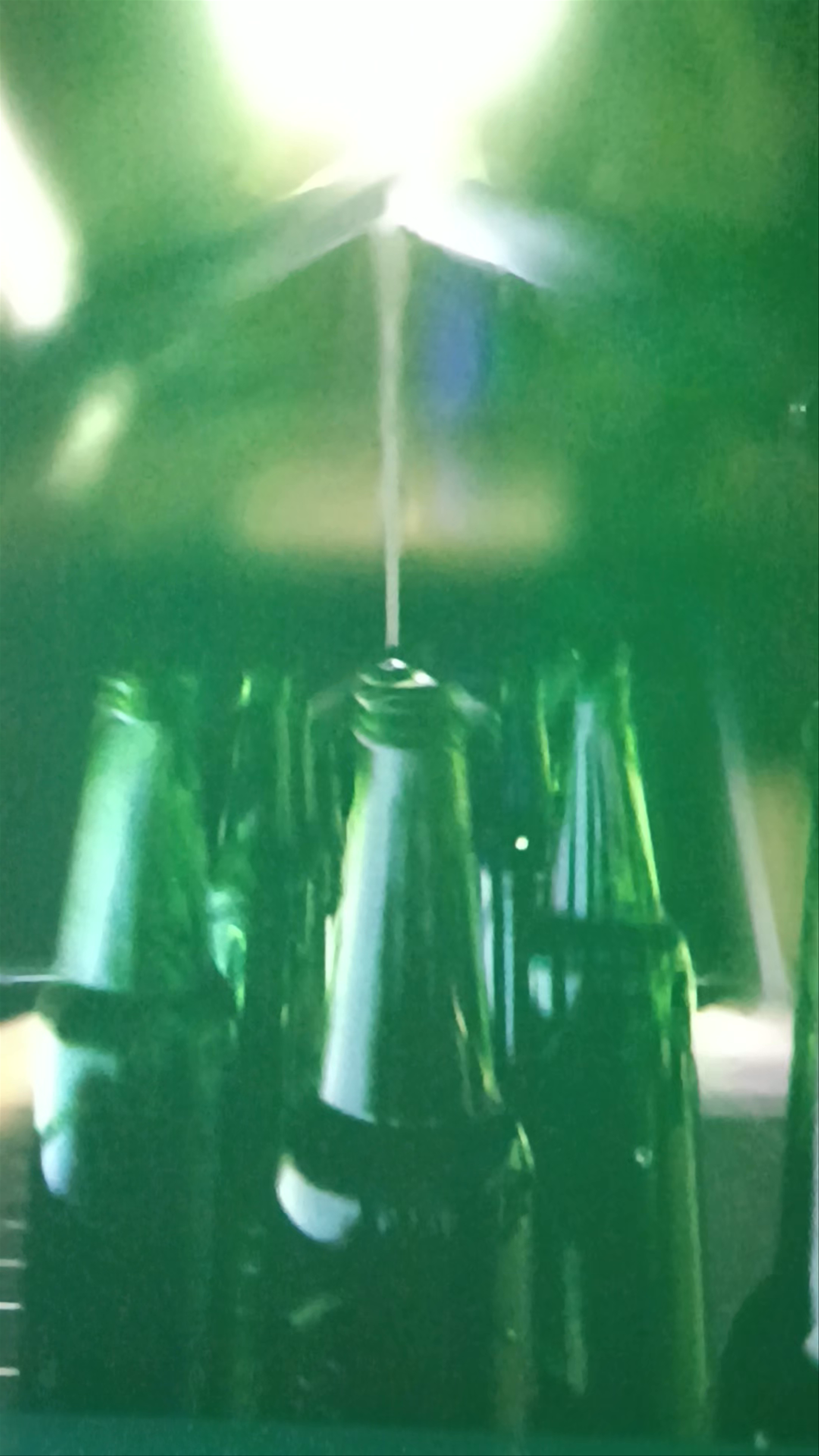 Heineken Experience