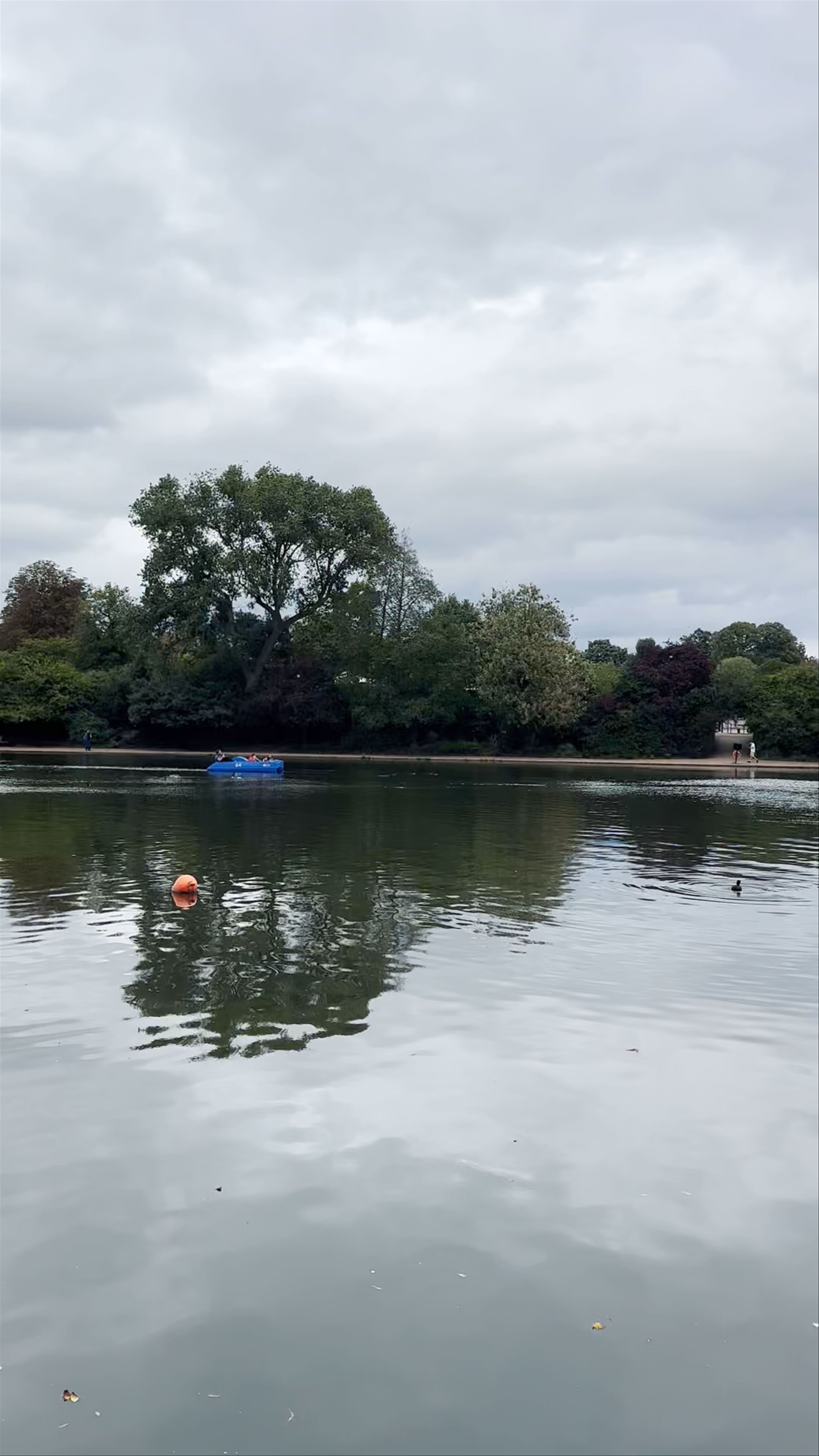 The Serpentine