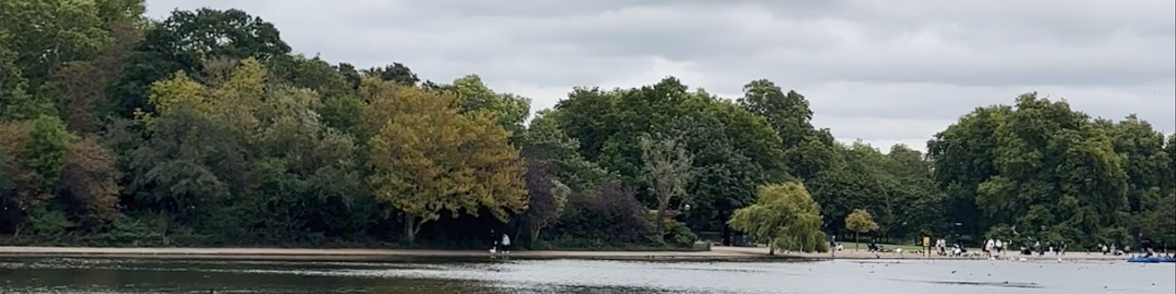 The Serpentine
