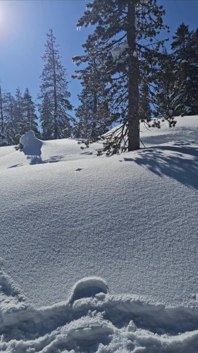 Pacific Crest Trail - Winter on the PCT at Donner - Hiking Near Me - Truckee, California