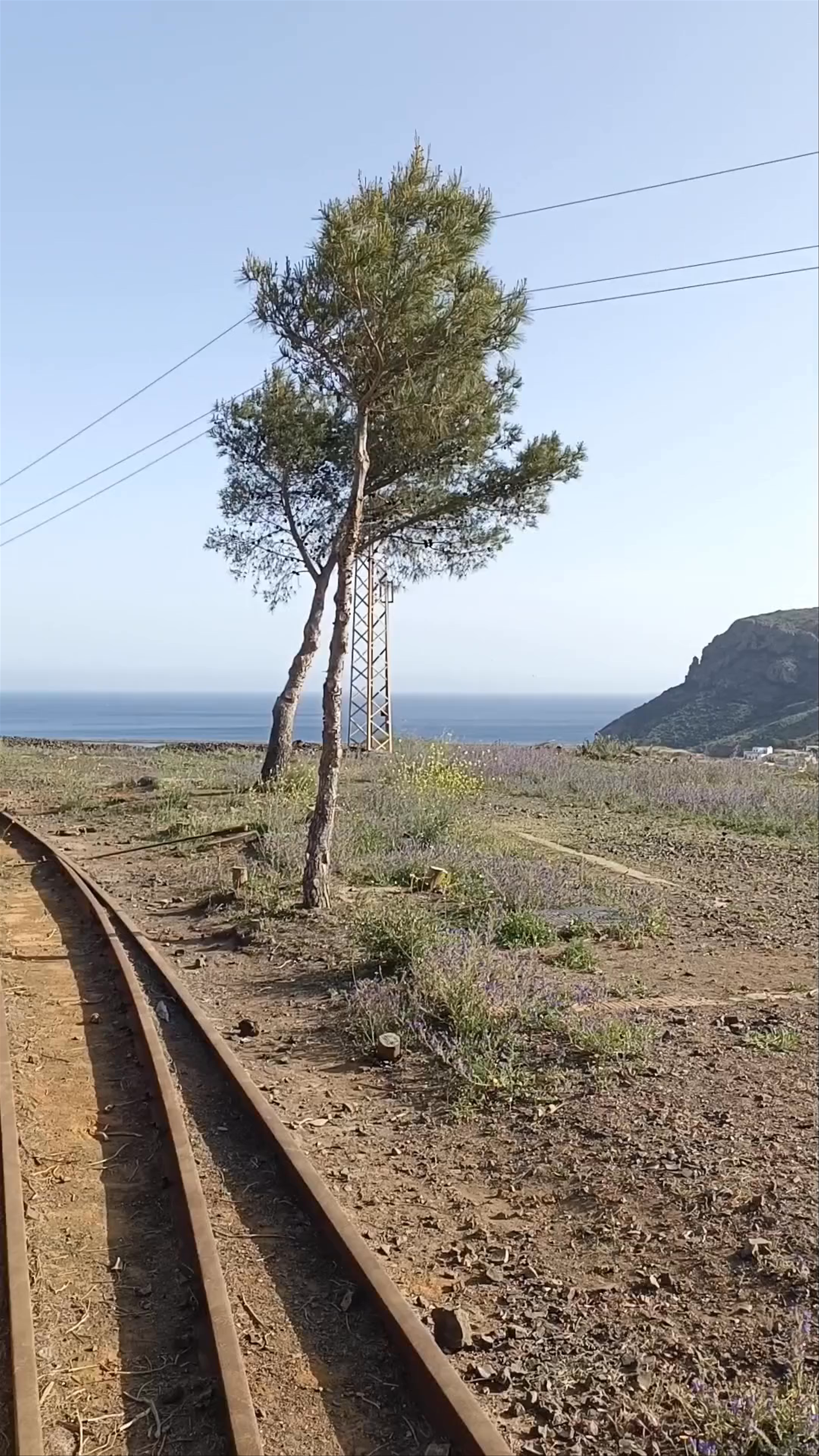 Portman Mining Train