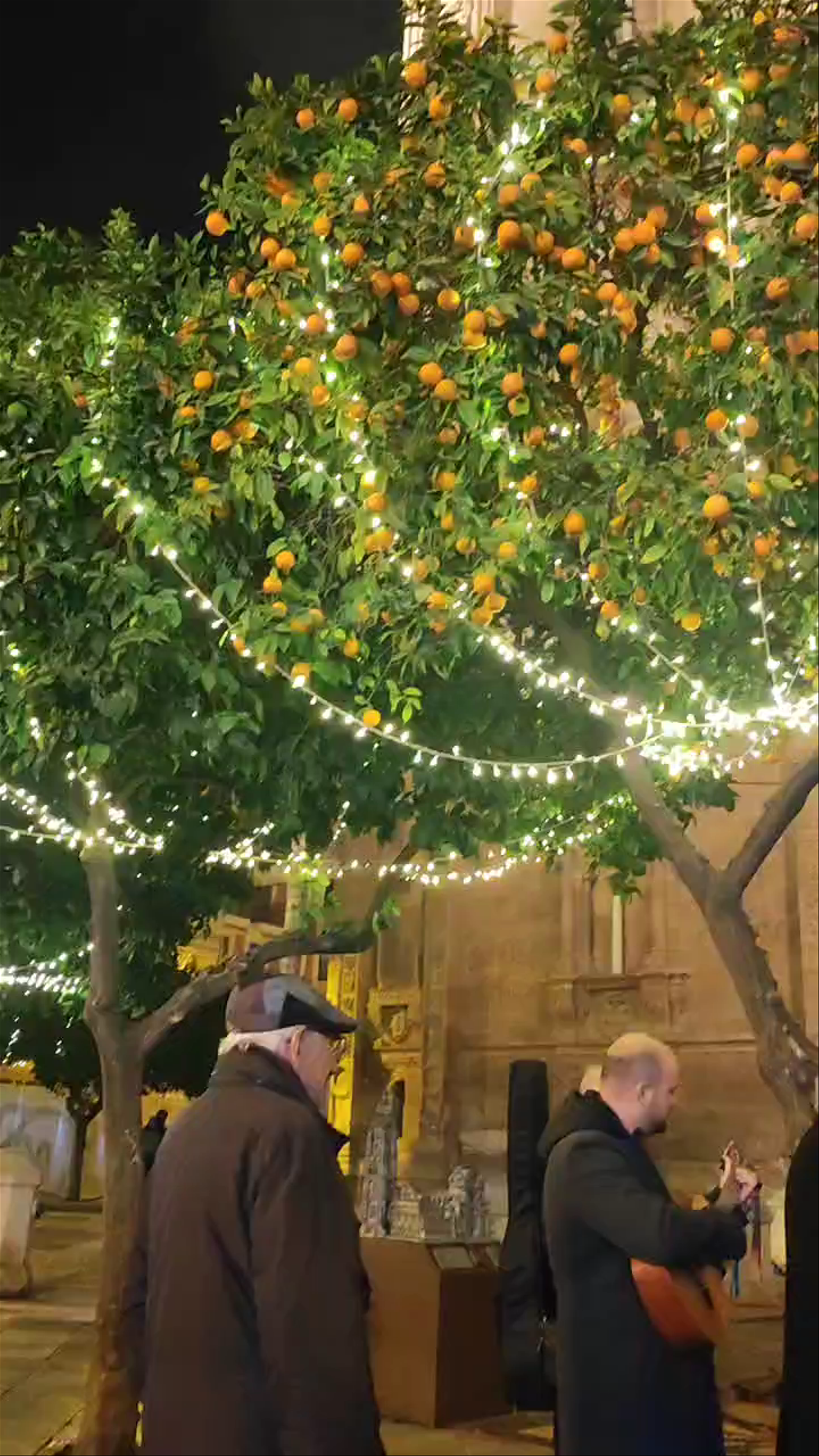 Magical Evening at Puerta de las Cadenas, Murcia