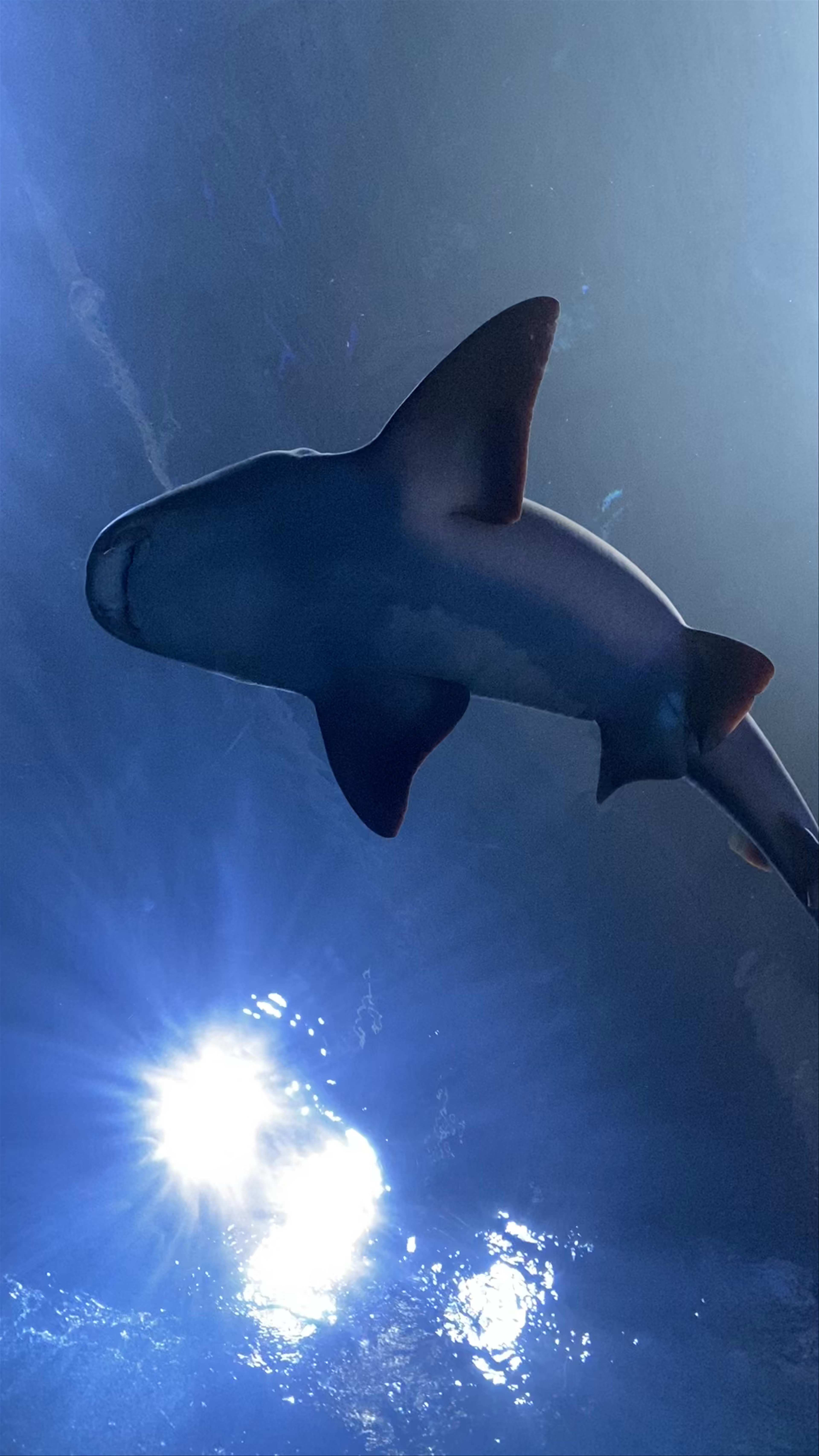 Poema del Mar Aquarium