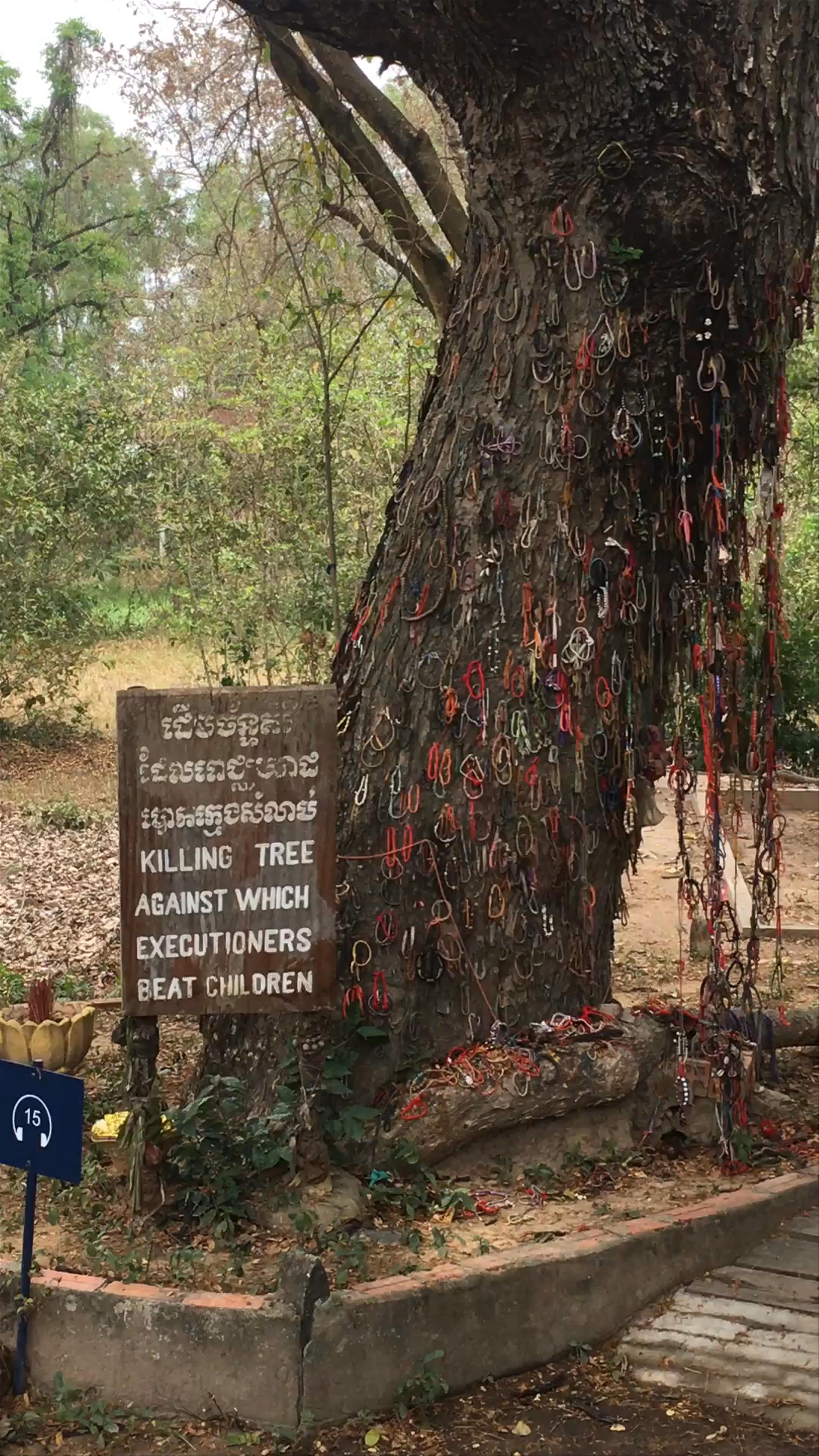 Choeung Ek Killing Tree: Silent Witness of Cambodia’s Tragic History
