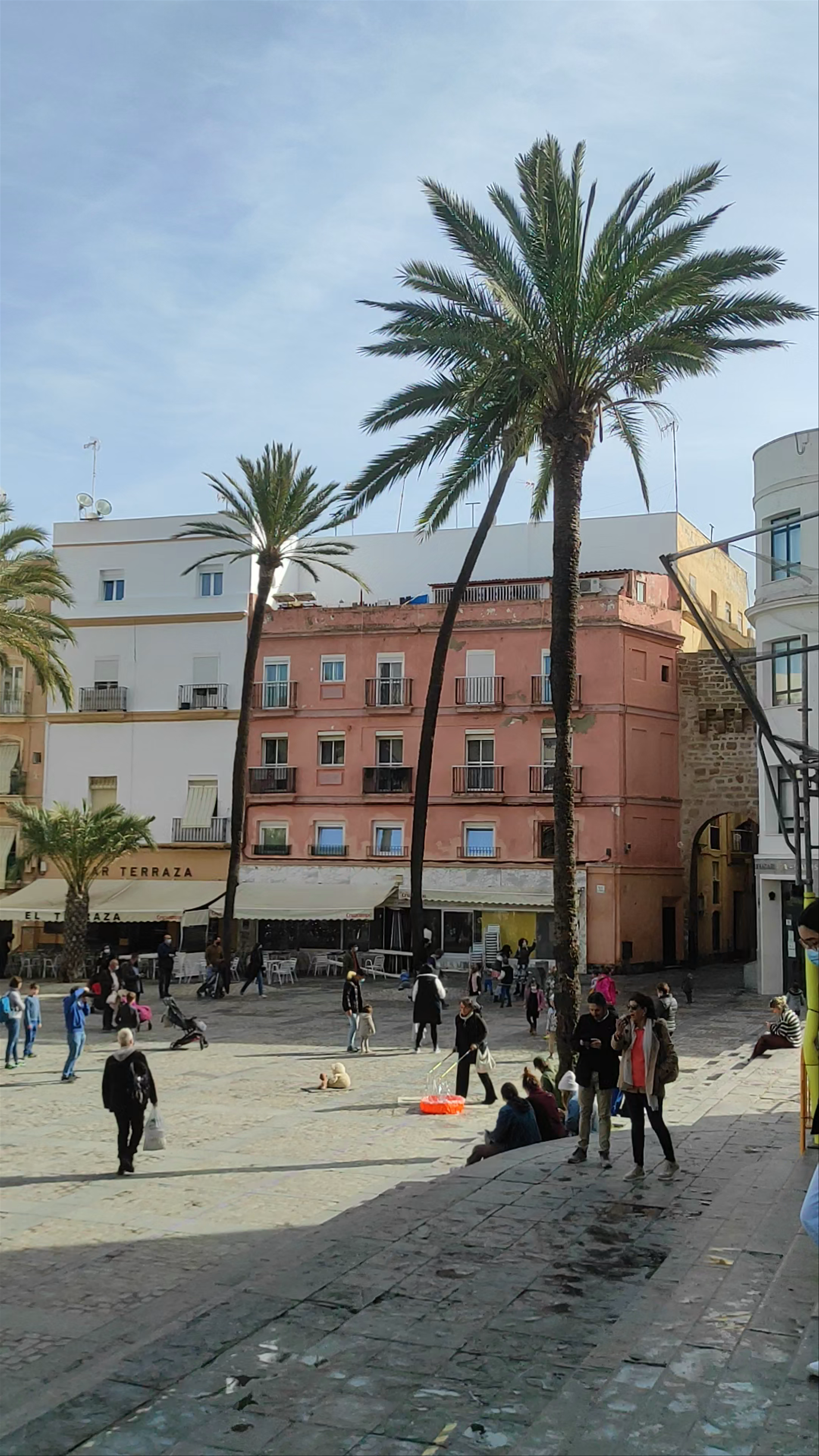 Plaza de la Catedral: Vibrant Life in Cádiz’s Historic Heart