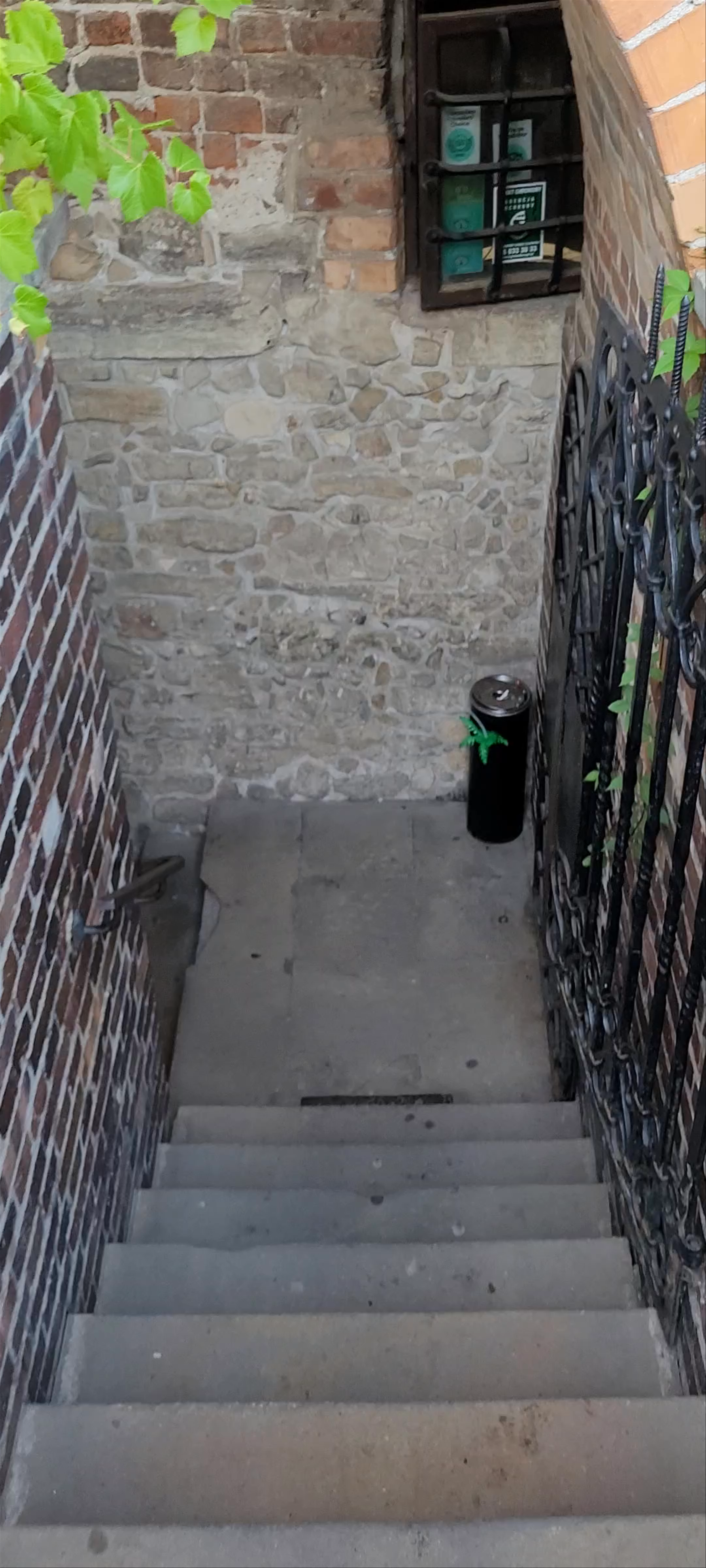 Exploring the Historic Lapidarium pod Ratuszem in Sandomierz