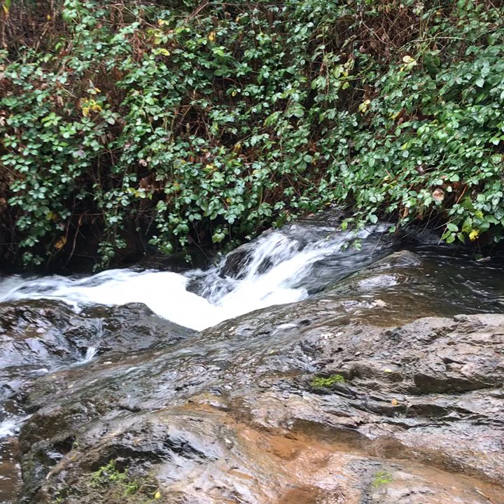 HIDDEN FALLS REGIONAL PARK - Updated October 2025 - 1163 Photos & 271 ...